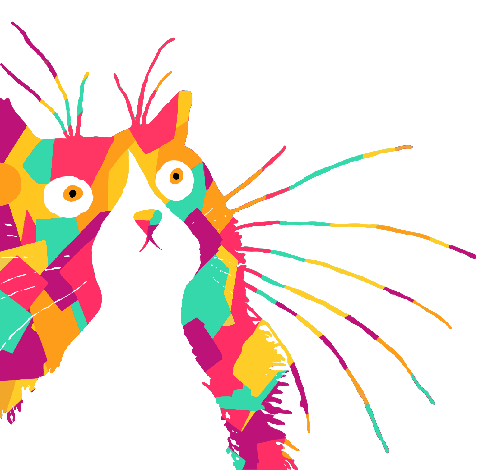 VIBRANT_CAT.png