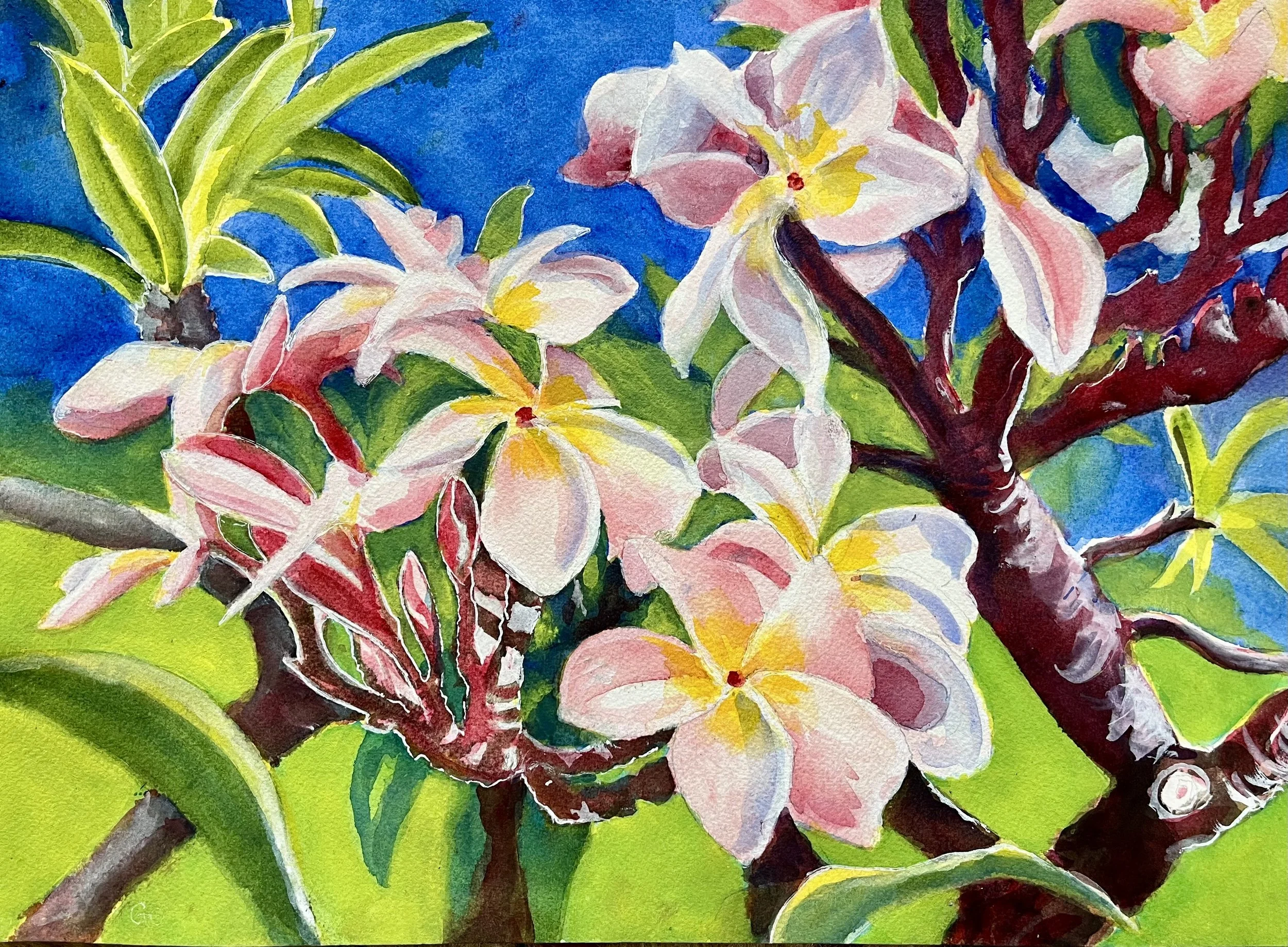 plumeria.jpeg