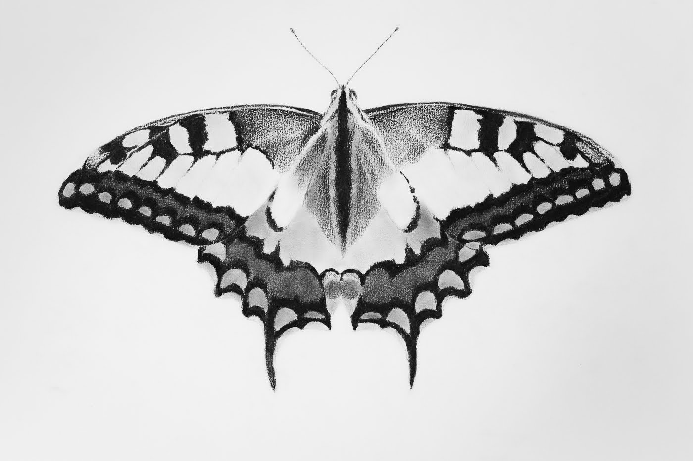 DSCF1960.jpg