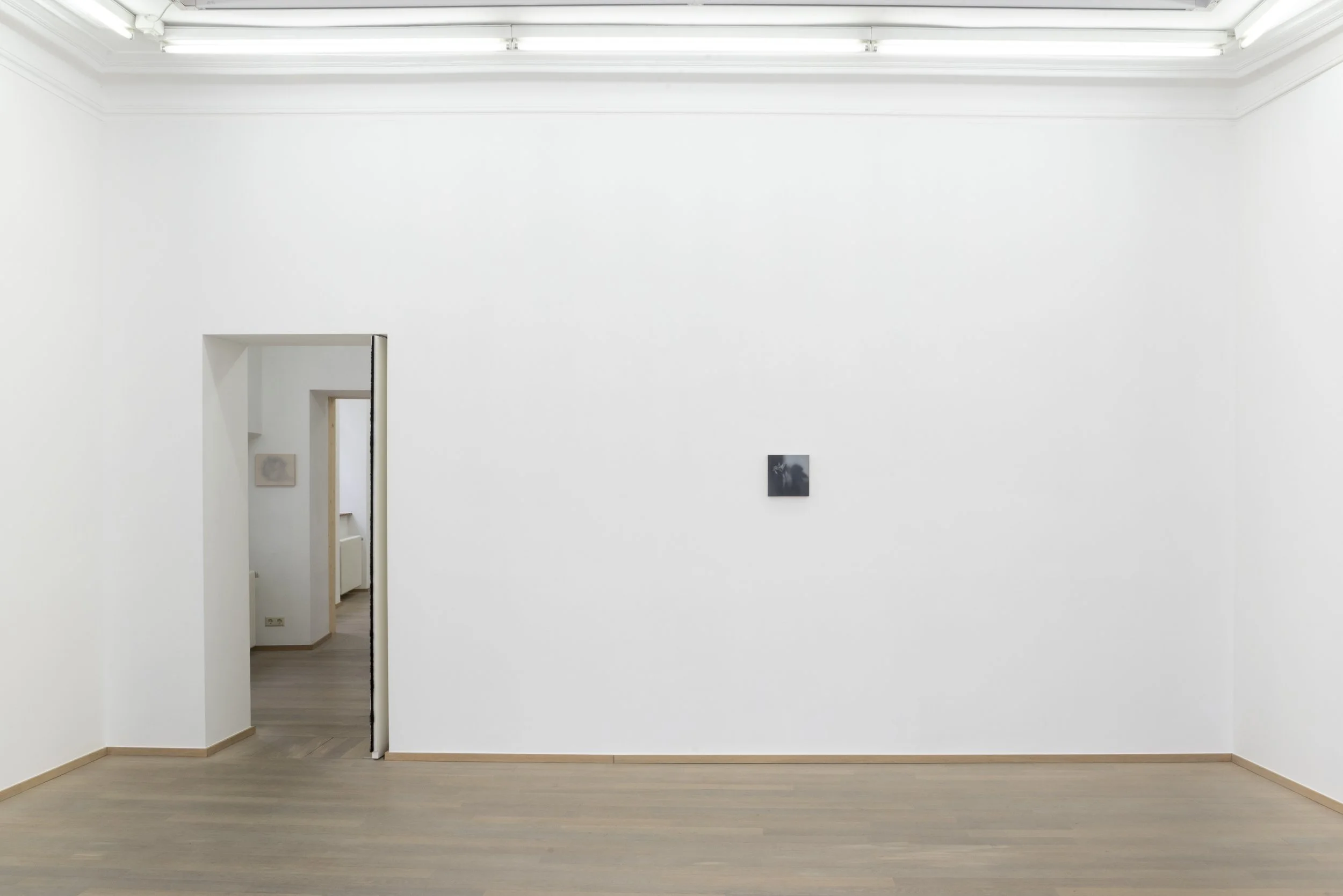 Nuno Lorena_Nosbaum Reding Projects_2026-2.jpg