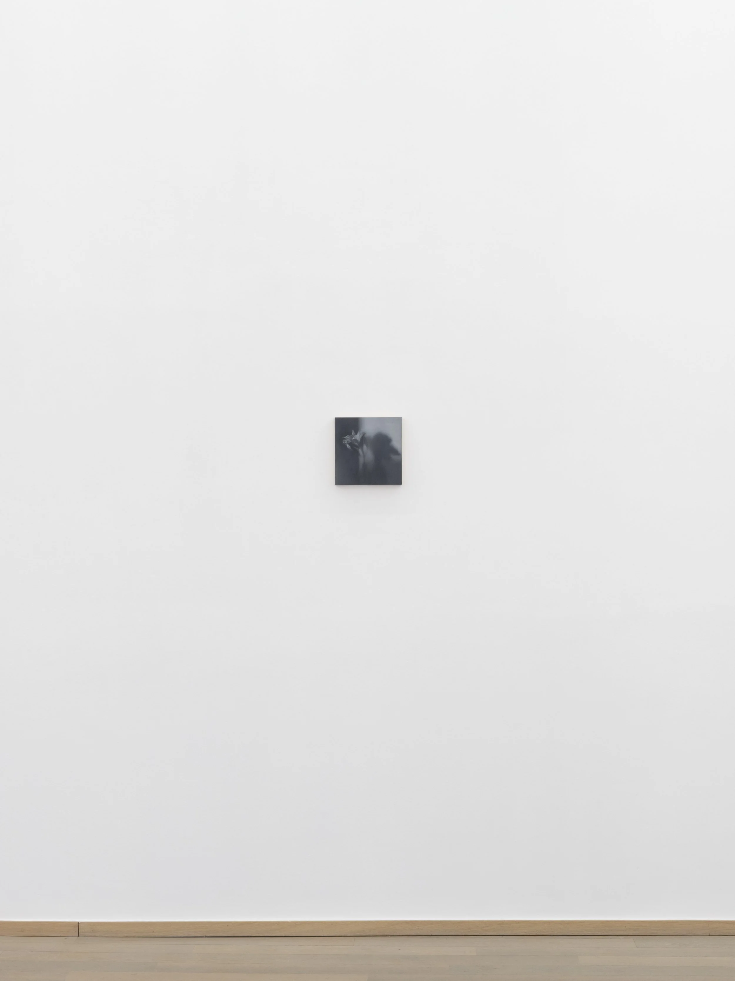 Nuno Lorena_Nosbaum Reding Projects_2026-12.jpg