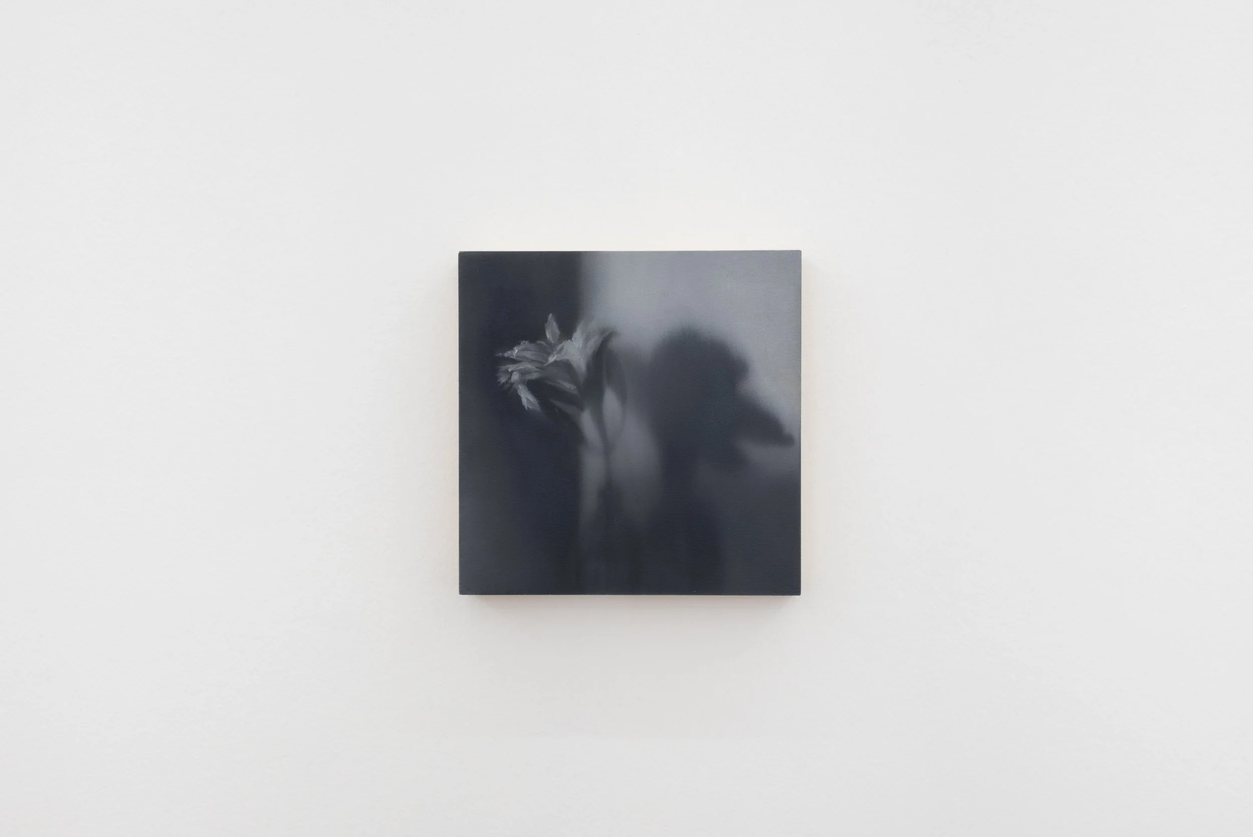 Nuno Lorena_Nosbaum Reding Projects_2026-13.jpg