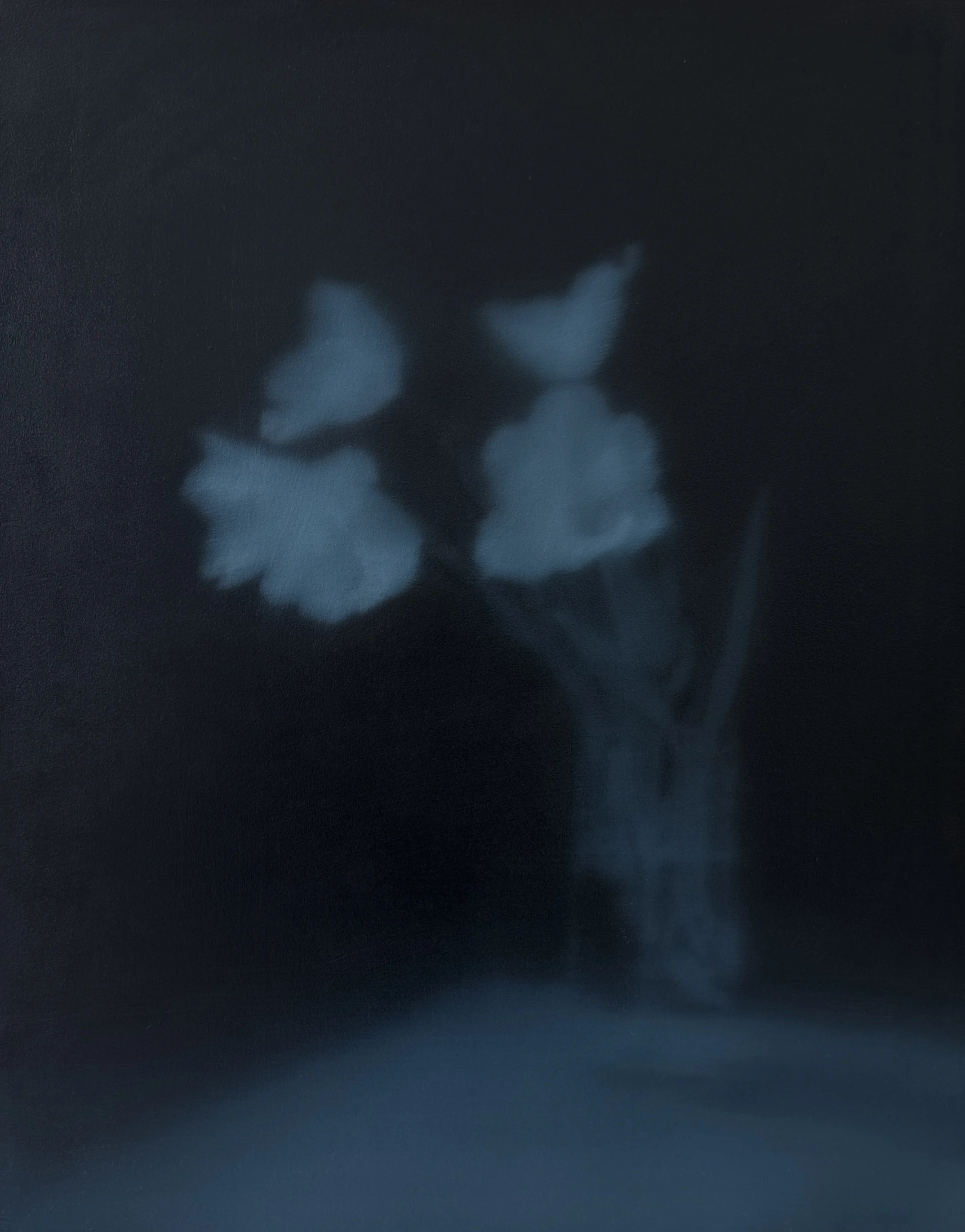 Still life (2) 50cm x 40cm, oil on wood.