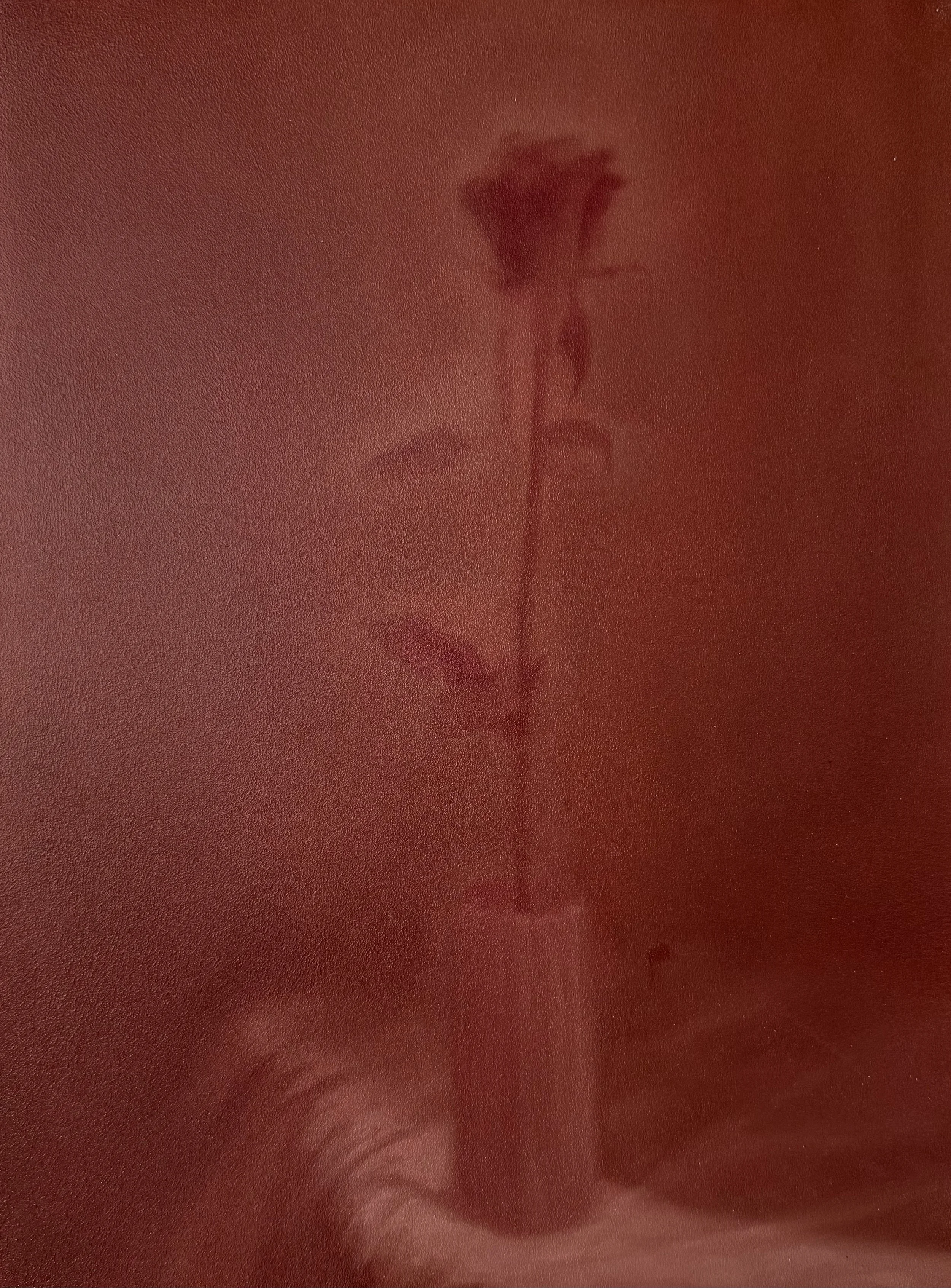 Rose in vase 40cm x 30cm, oil on wood.