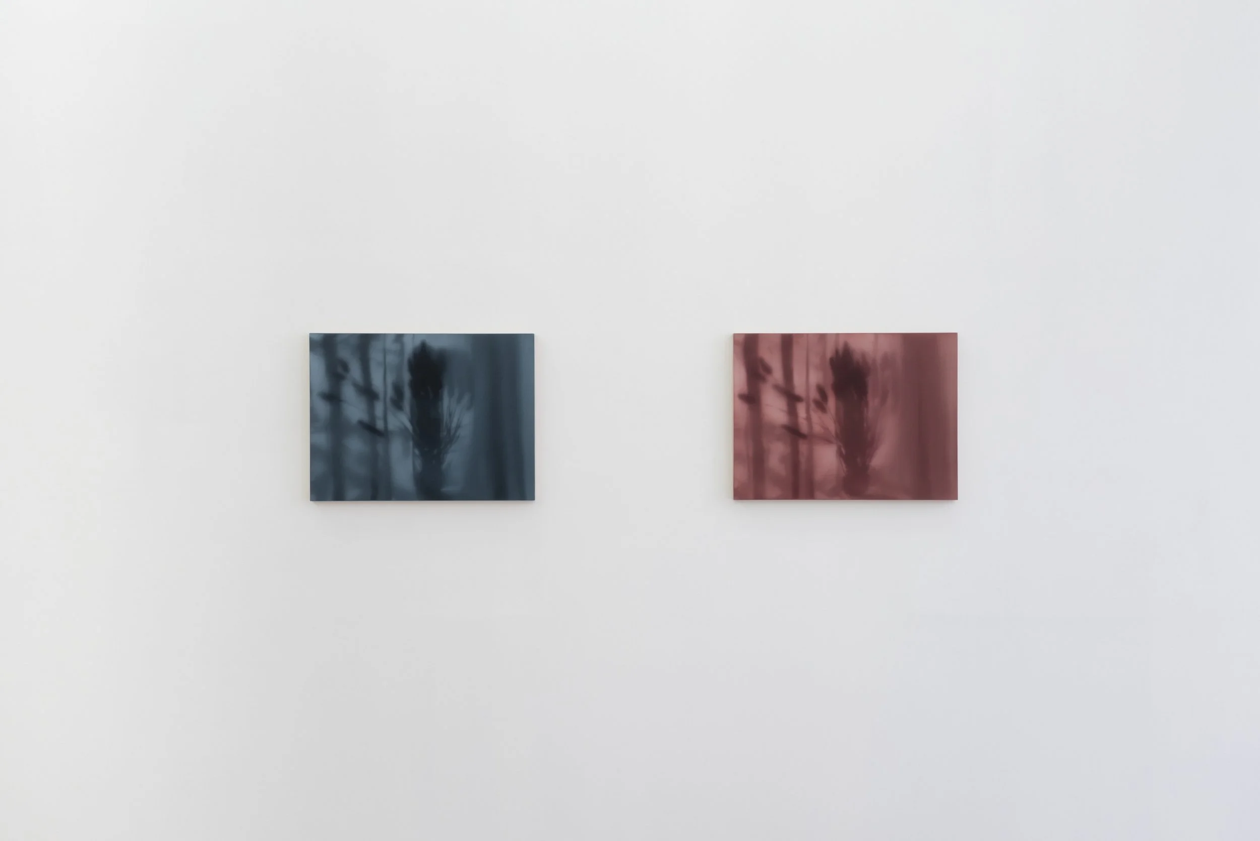 Nuno Lorena_Nosbaum Reding Projects_2026-7.jpg