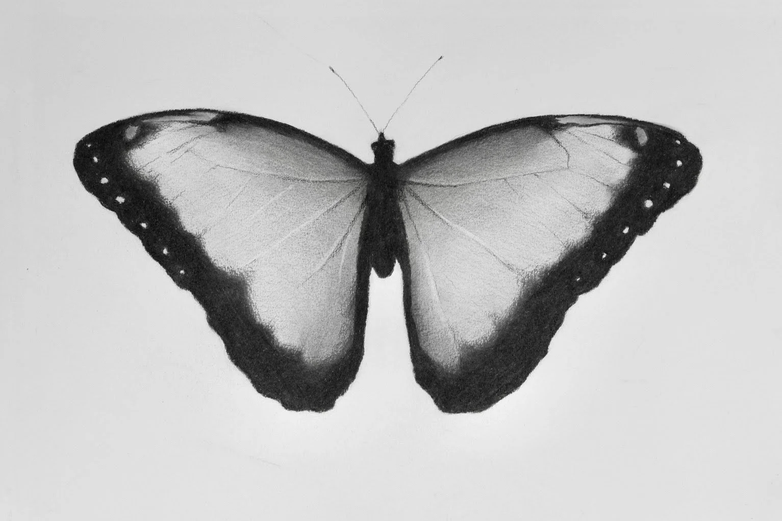 FA9B95A2-EF20-41B4-B547-1A6565AAA1A9-1074-0000007F081C63F1.jpg