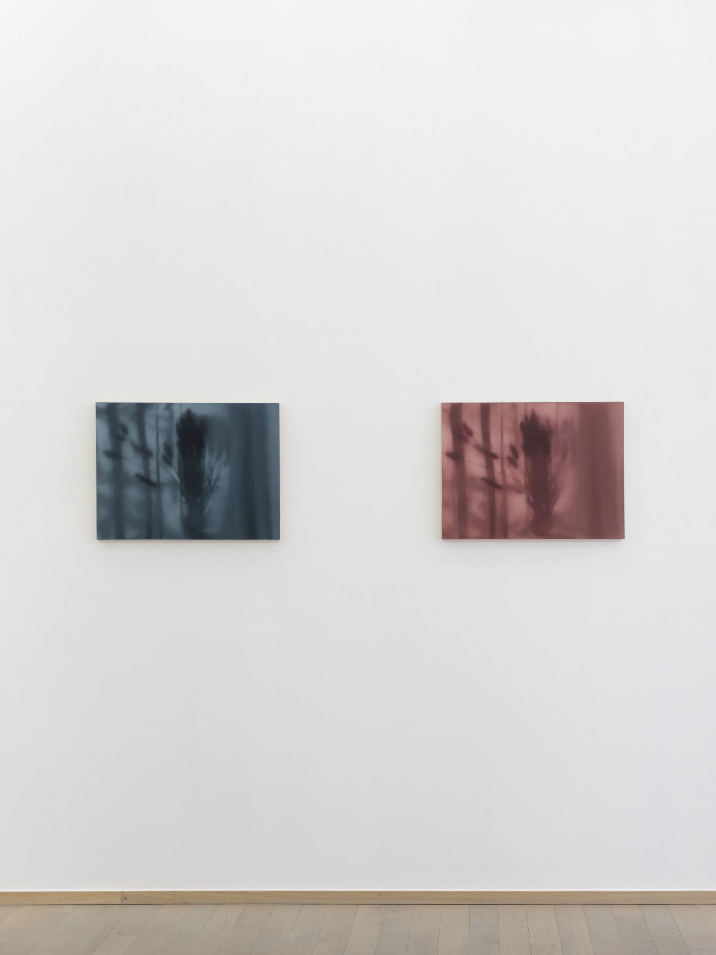 Nuno Lorena_Nosbaum Reding Projects_2026-14.jpg