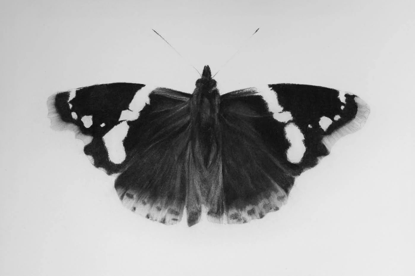 78AC04E9-BF05-4E5E-B77A-FABE29A3199D-1074-0000007F05441B28.jpg