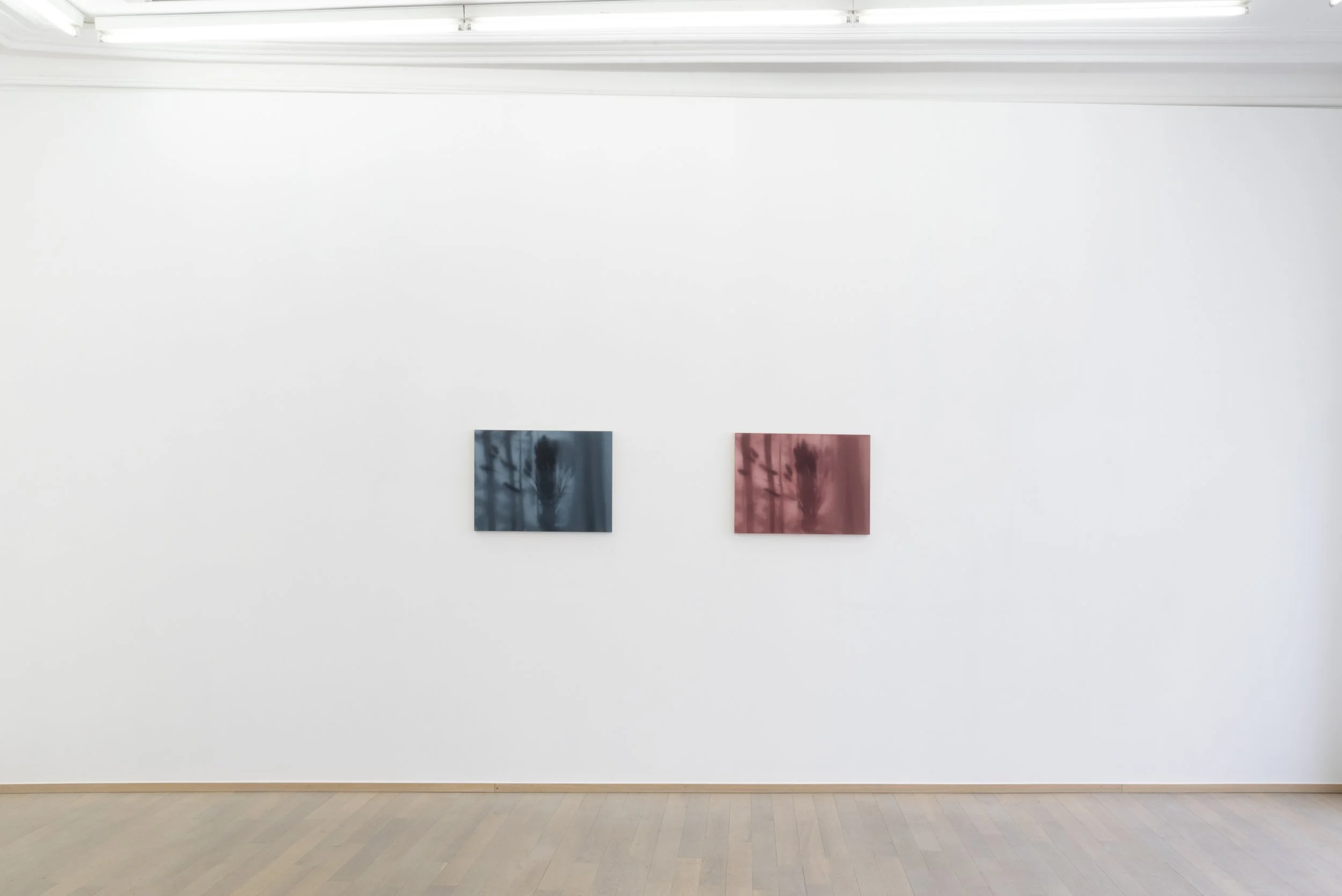 Nuno Lorena_Nosbaum Reding Projects_2026-3.jpg