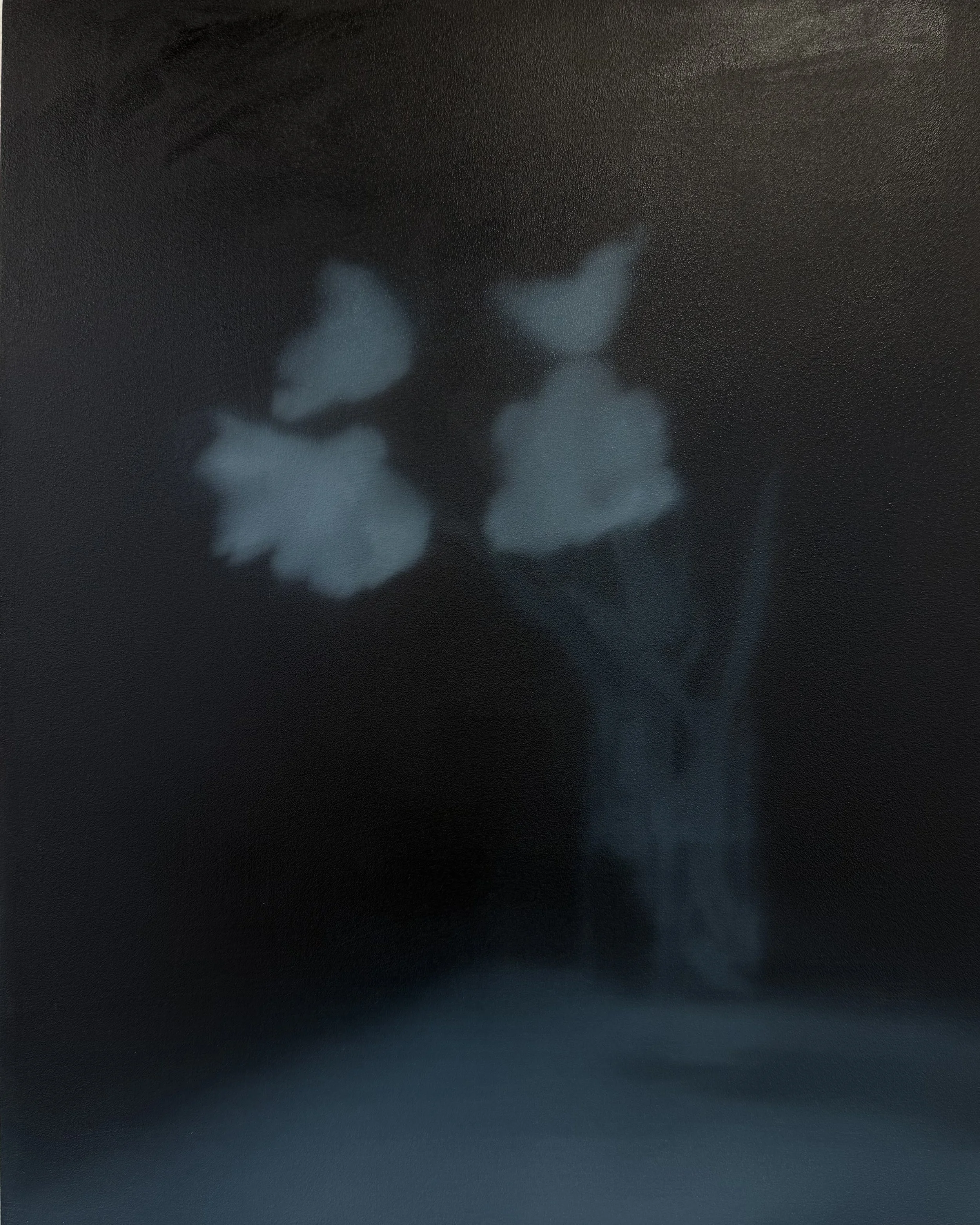 Still life (3) 50cm x 40cm, oil on wood.