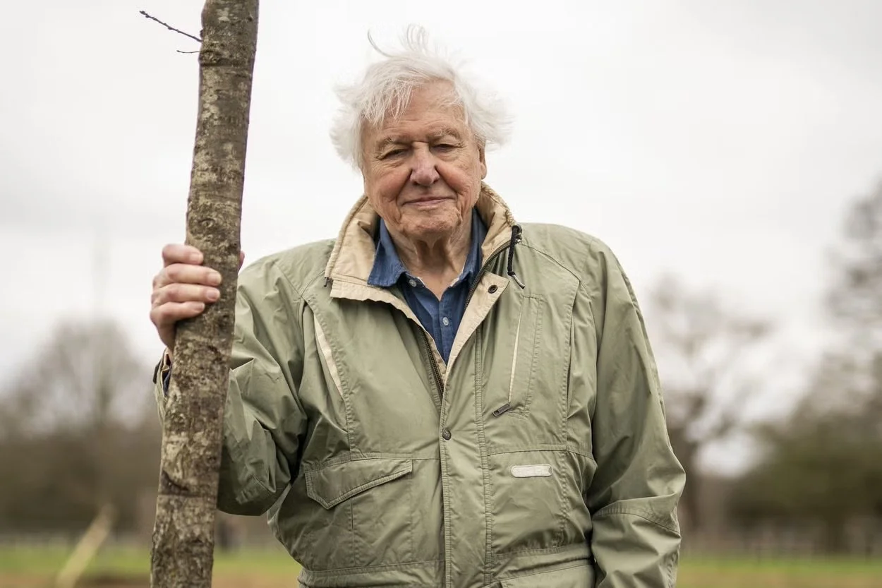 SIR DAVID ATTENBOROUGH CELEBRATES HIS 100TH BIRTHDAY AT  ROYAL ALBERT HALL
