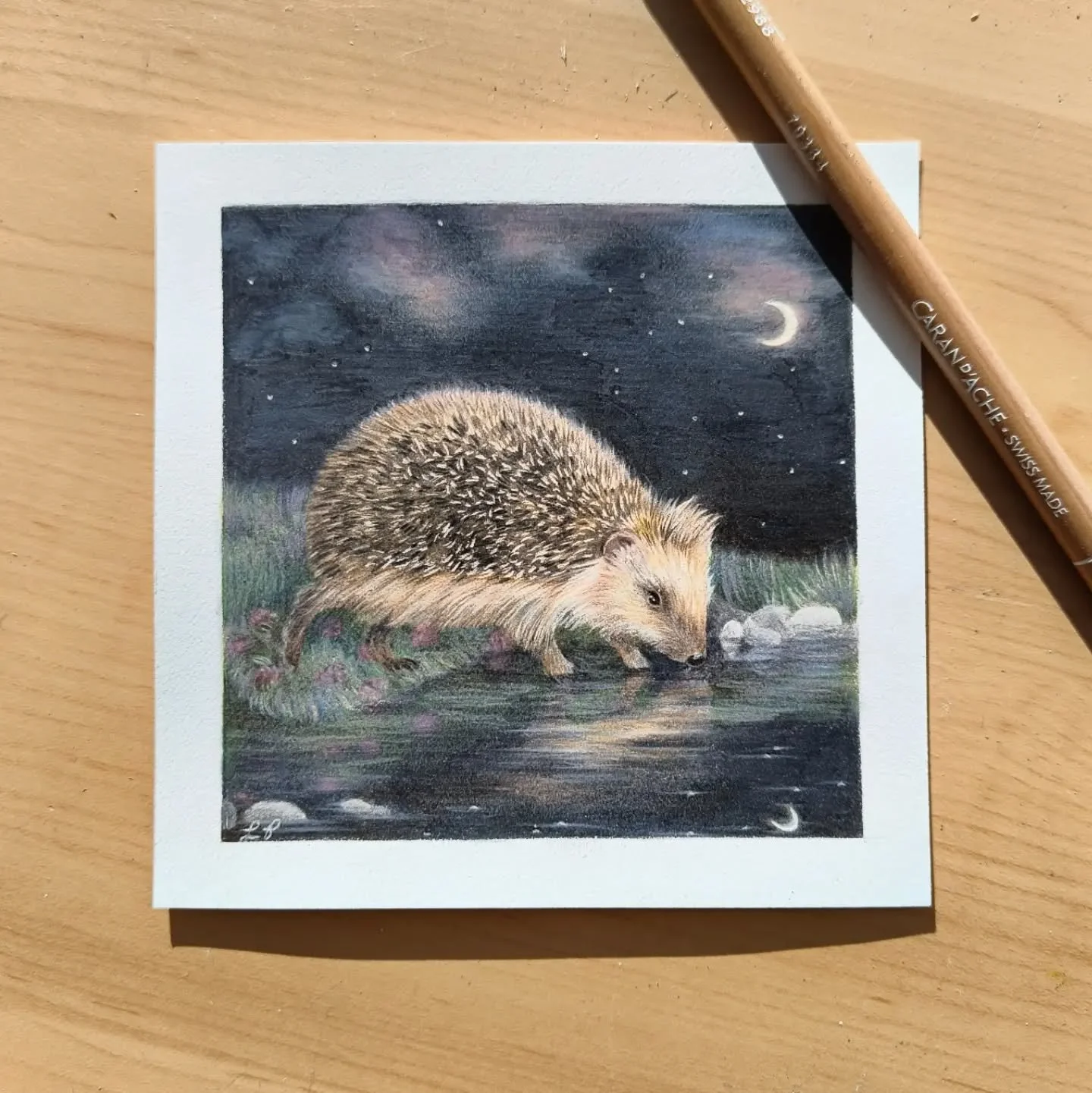 Night-time hedgehog 🦔🌕🌙

This is drawing number 2/4 of my new nocturnal wildlife series, where I'm drawing some of my favourite animals that are up are night! I've been having lots of fun creating the dark skies with lots of stars and faint colour
