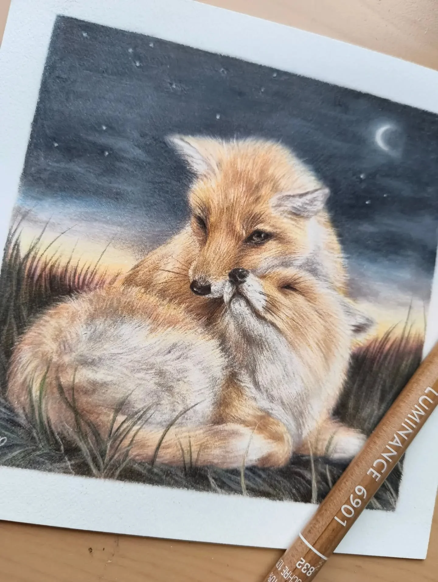 Sleepy fox cubs 🦊🌙🌕

Illustration 3/4 of my nocturnal animals series, these fox cubs were so much fun to draw! I decided to draw them waking up around sunset as foxes are most active around dusk and dawn!

I might have to end up making more of the