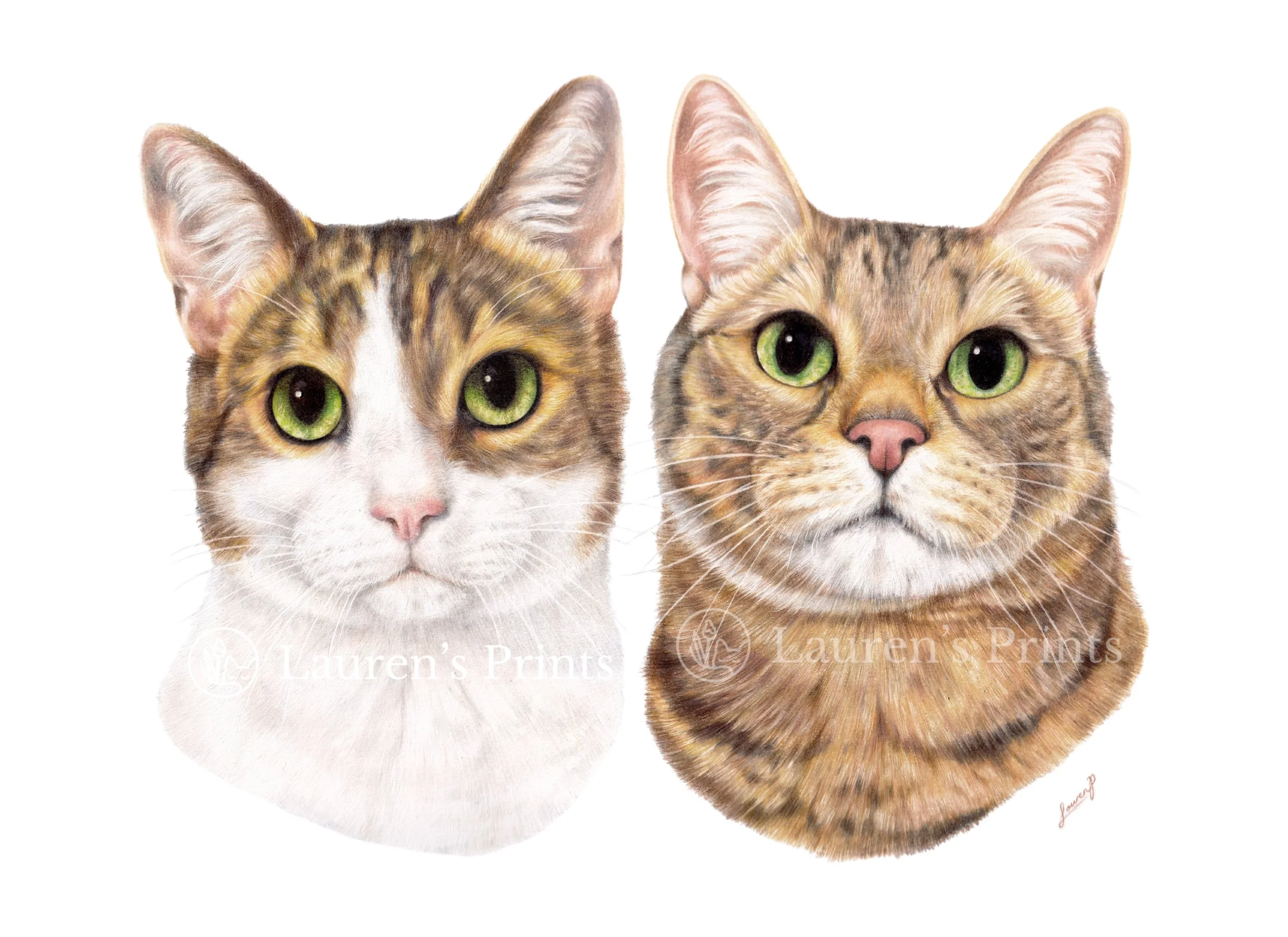 Two realistic colored pencil drawings of cats, one with white and tabby markings and green eyes, and the other with orange tabby markings and green eyes, positioned side by side against a white background.