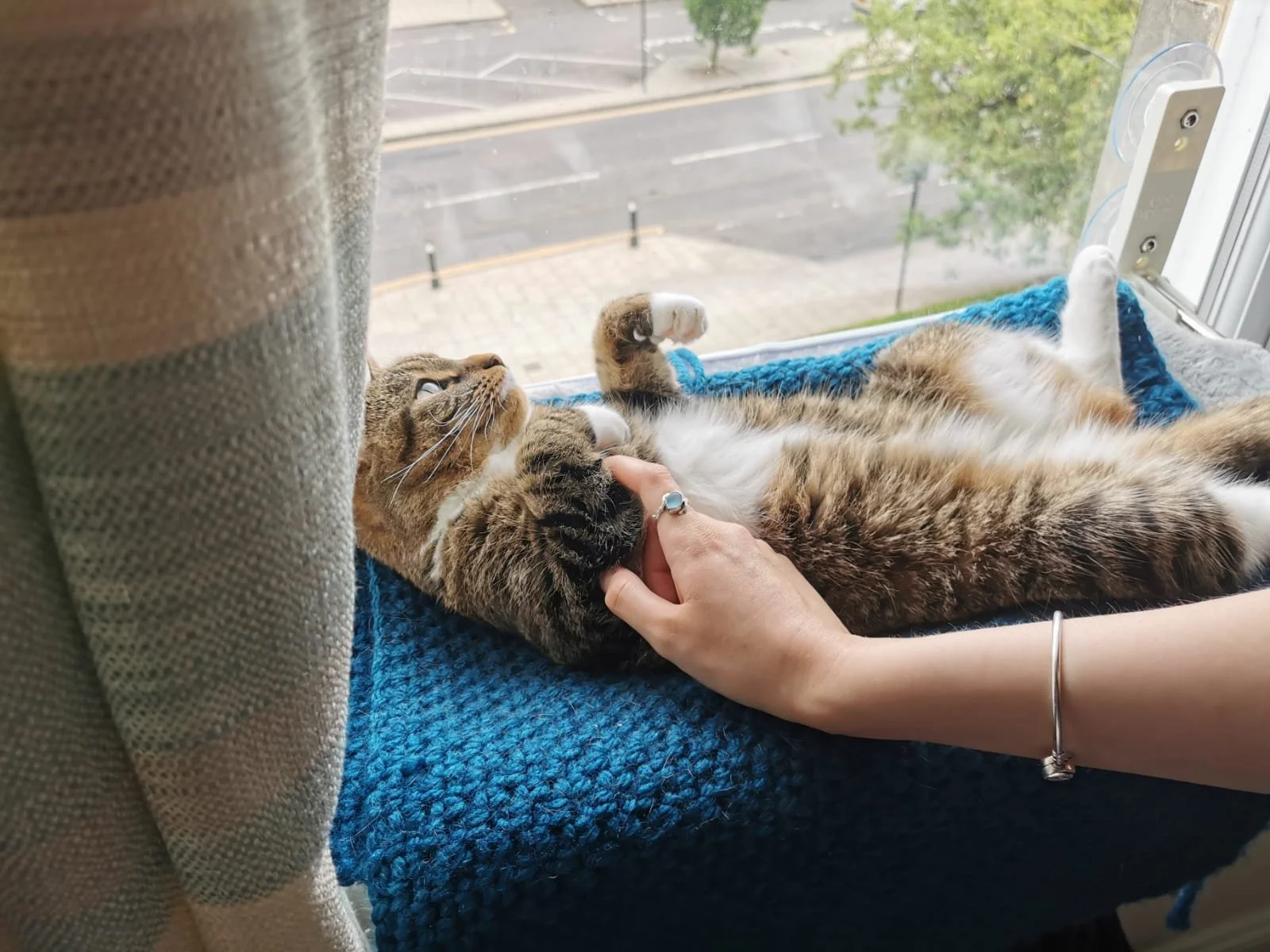 A person is petting a tabby cat that is lying on a blue blanket on a windowsill, with the cat playfully pawing at their hand.