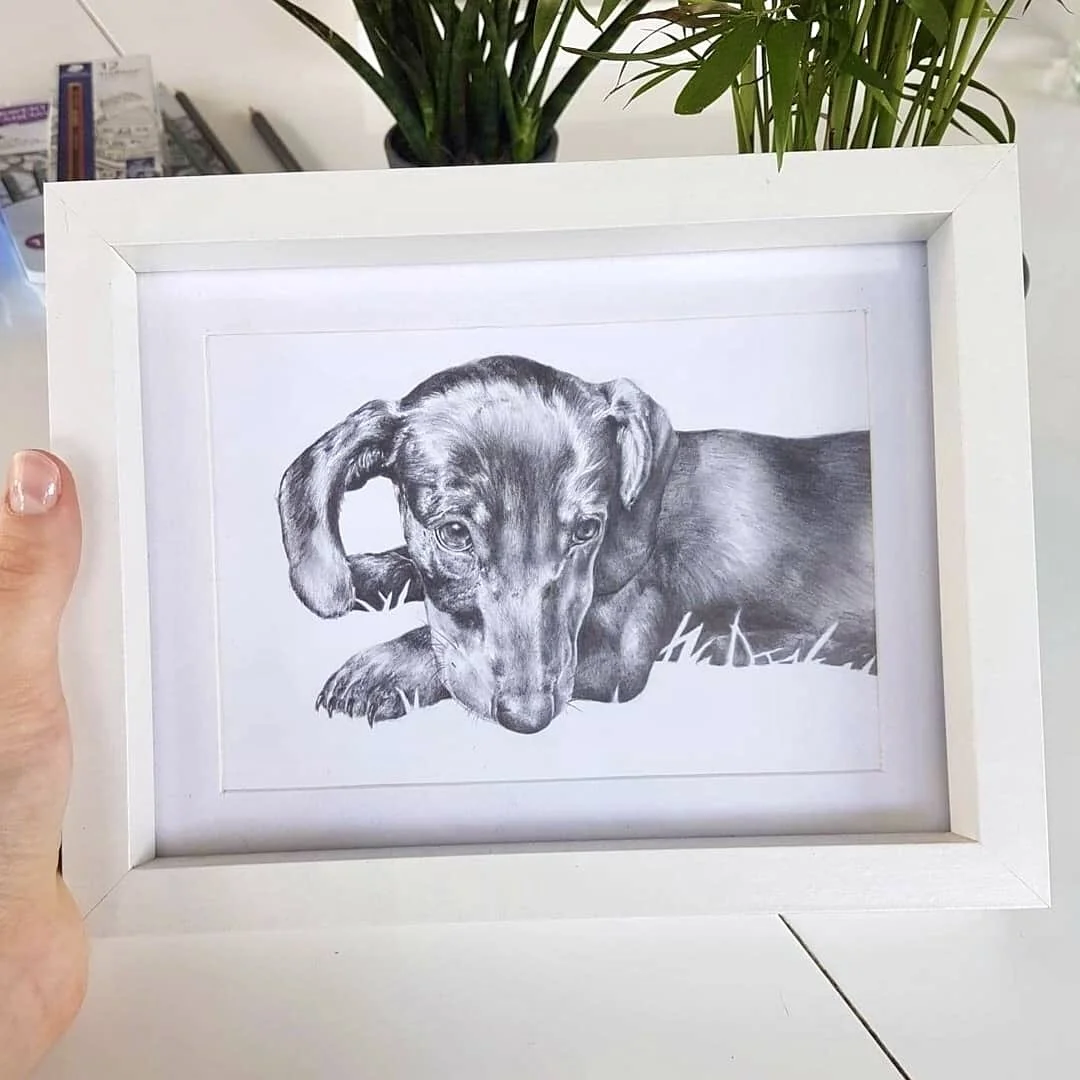 A black and white drawing of a dog lying down and resting its head on its paws, in a white frame, with a plant and some books in the background.