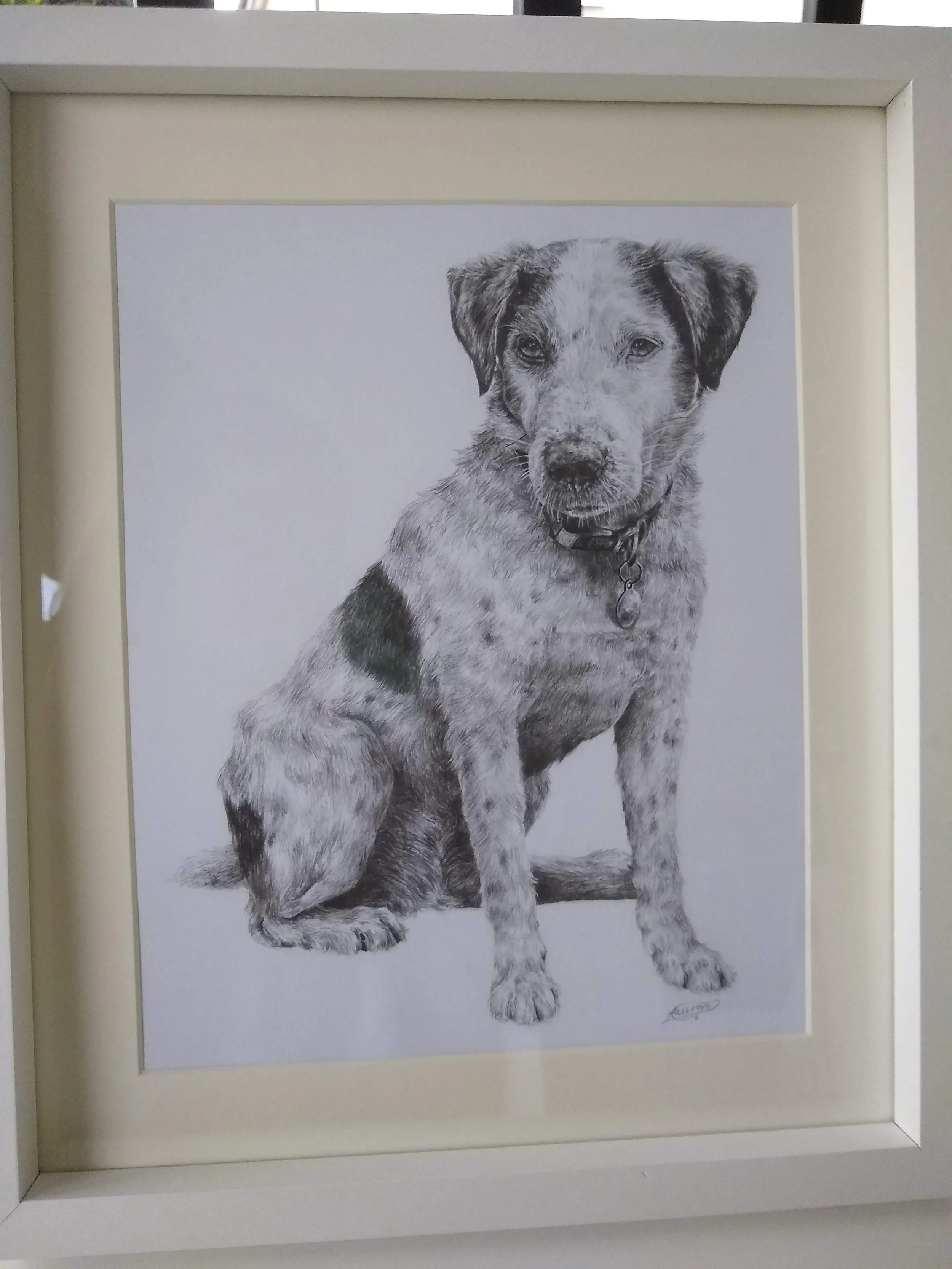 Black and white drawing of a sitting dog with a collar, looking directly at the viewer.