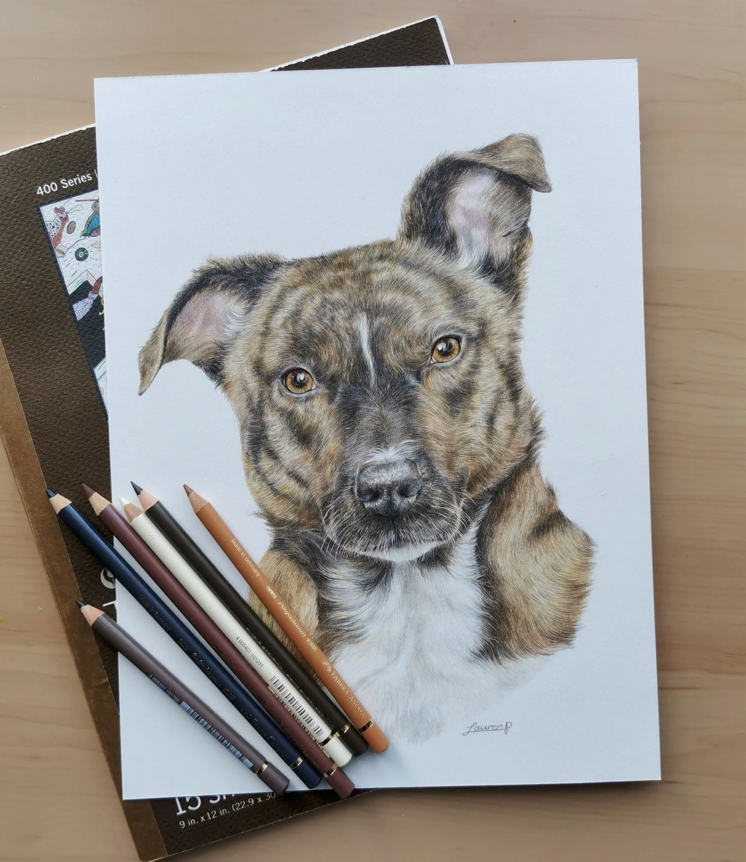 A detailed colored pencil drawing of a dog with fur in shades of brown, black, and white, resting on a white surface. Four colored pencils are placed at the bottom left corner with shades matching the dog's fur.