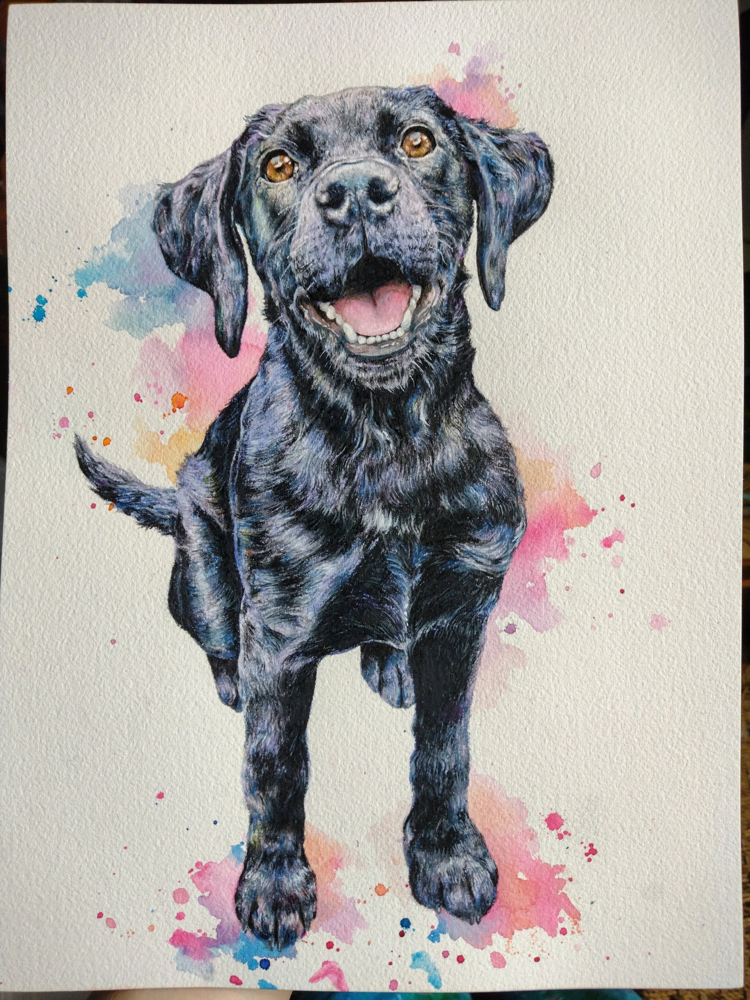 Watercolor painting of a black Labrador puppy with a big smile, surrounded by colorful splashes of pink, purple, blue, and orange.