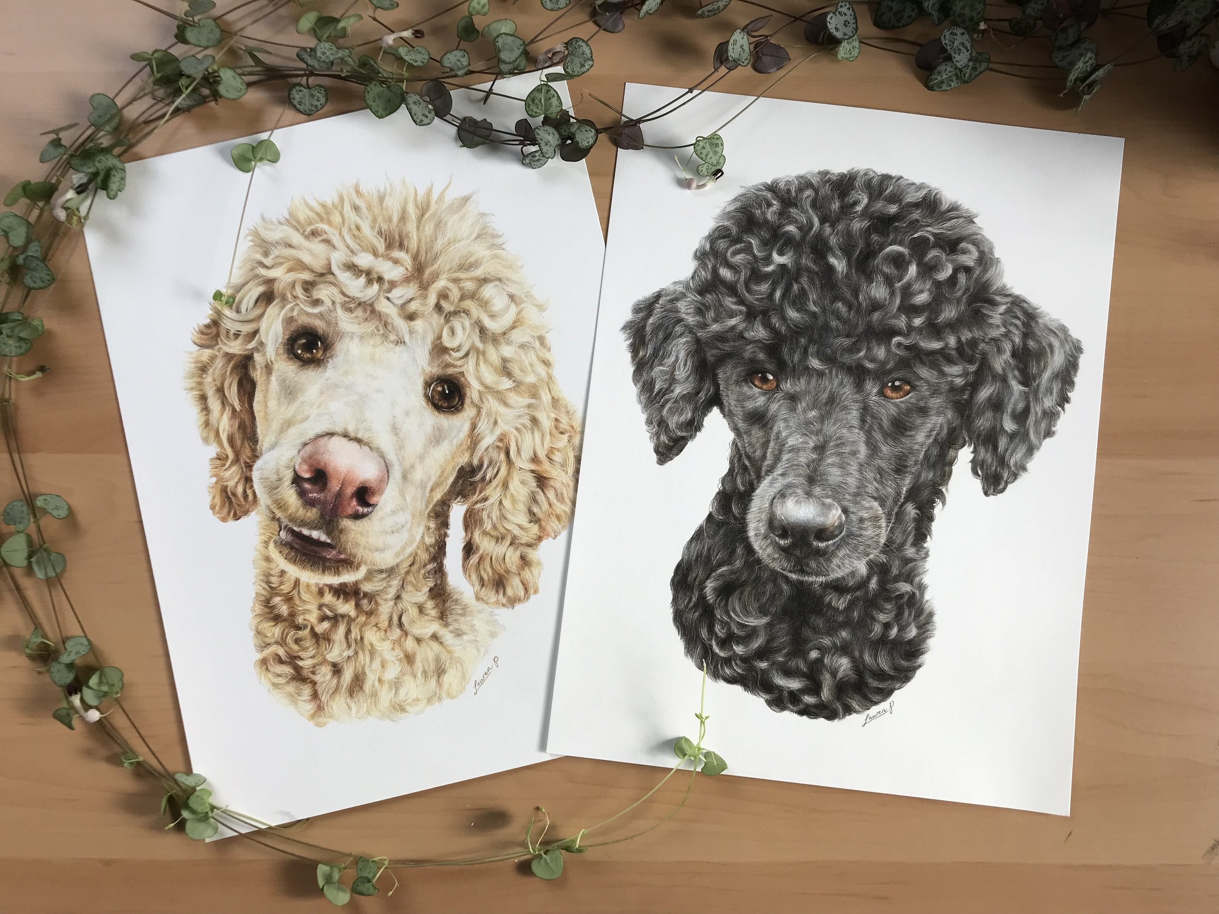 Two realistic colour pencil dog portraits, one of a golden poodle and one of a black poodle, are placed on a wooden surface surrounded by a string of green and purple leaves.