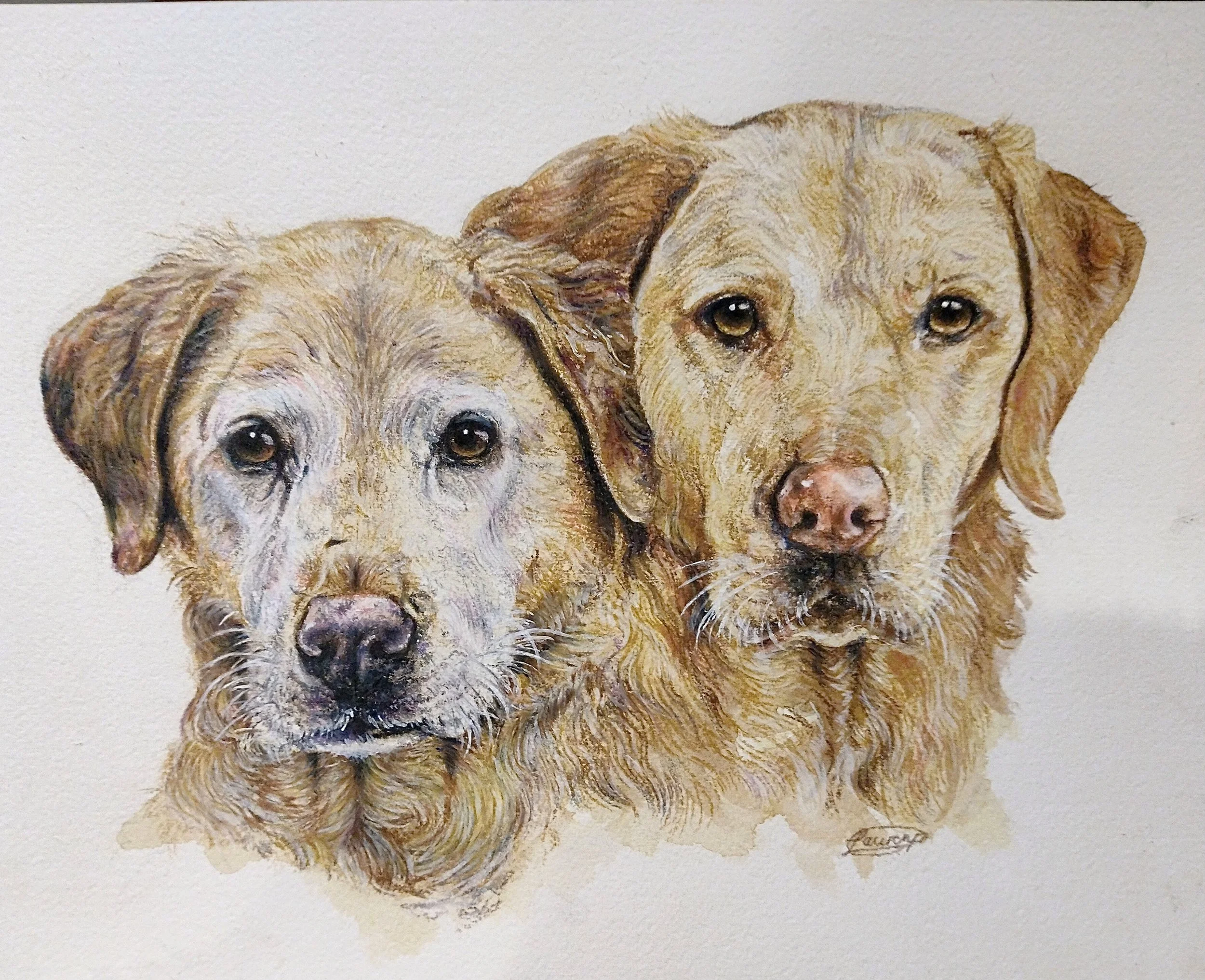 A realistic watercolor painting of two retriever dogs, one with a light brown coat and the other with a golden coat, facing forward against a plain white background.