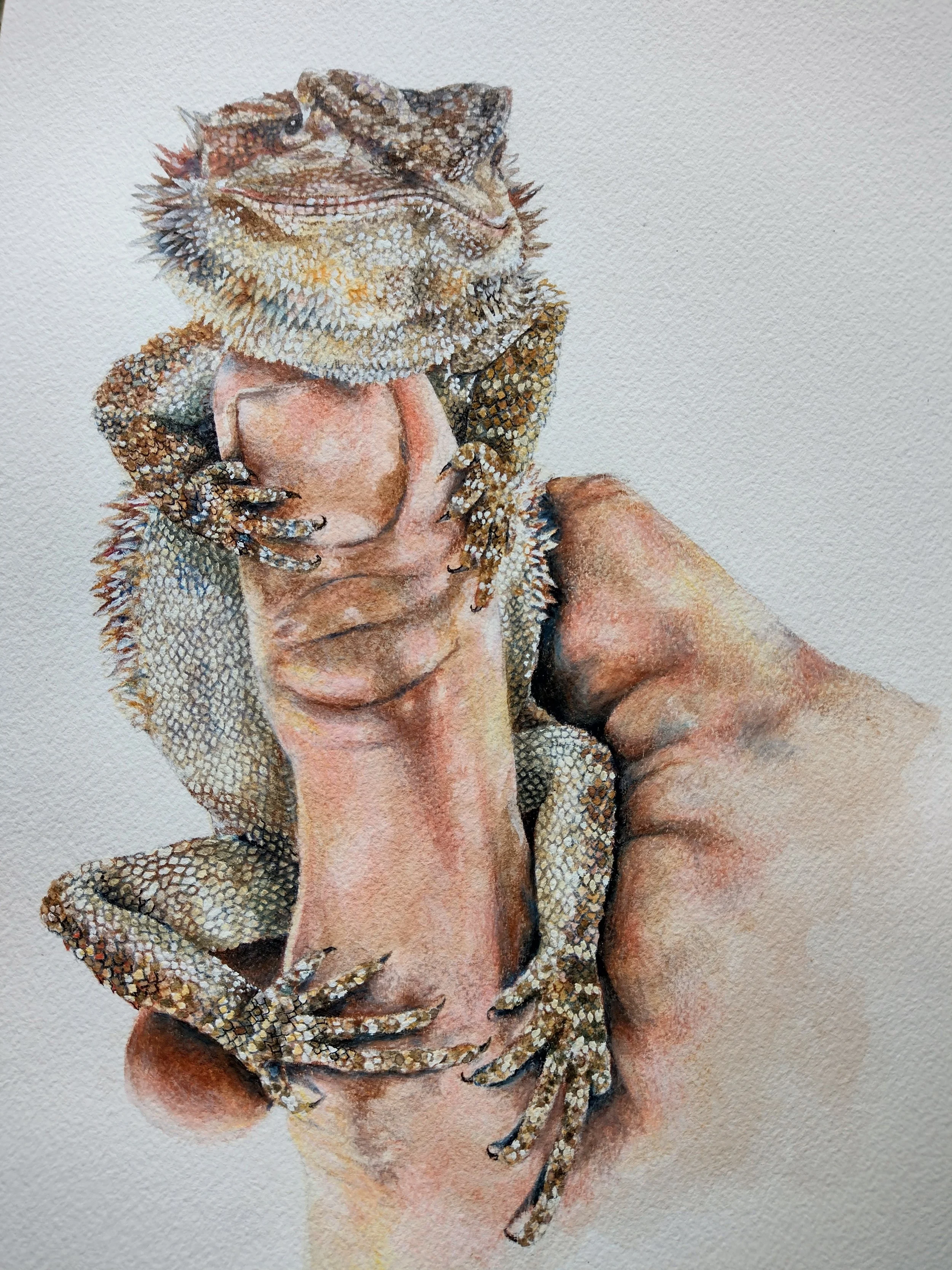 A realistic colour pencil pet portrait, focused on a hand holding a curled-up bearded dragon lizard against a plain wall background.