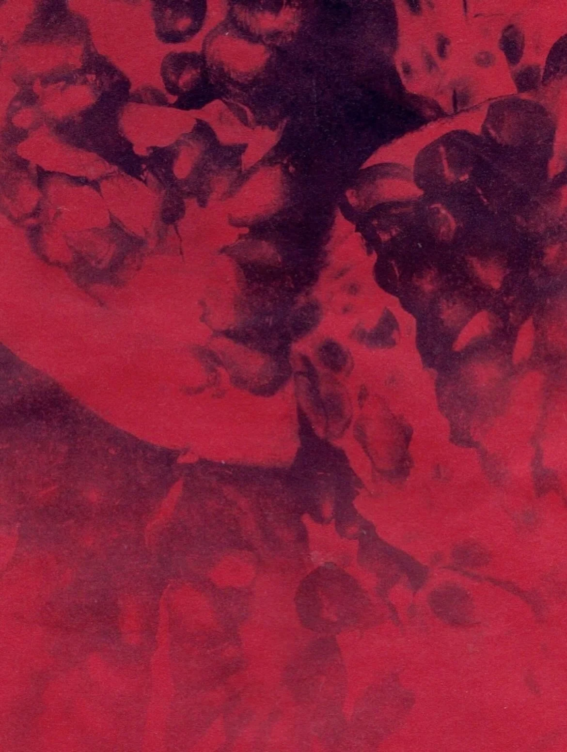 Pomegranate series