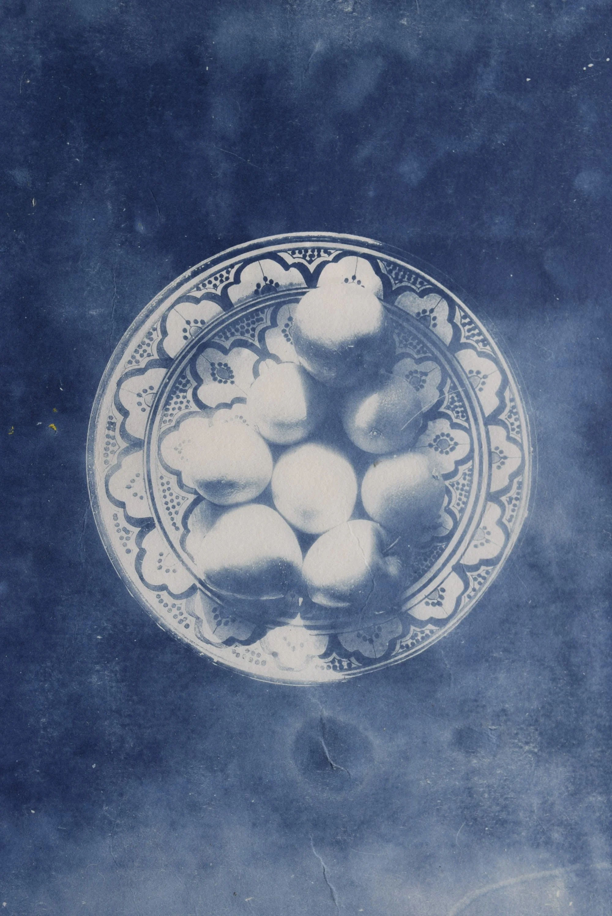 Fruit Bowl, 2024