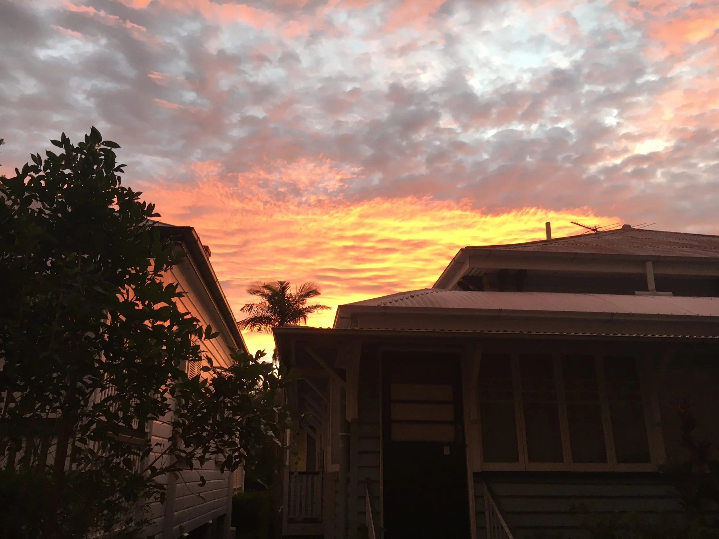 Sunset sky with pink, orange, and gray clouds above rooftops and trees.