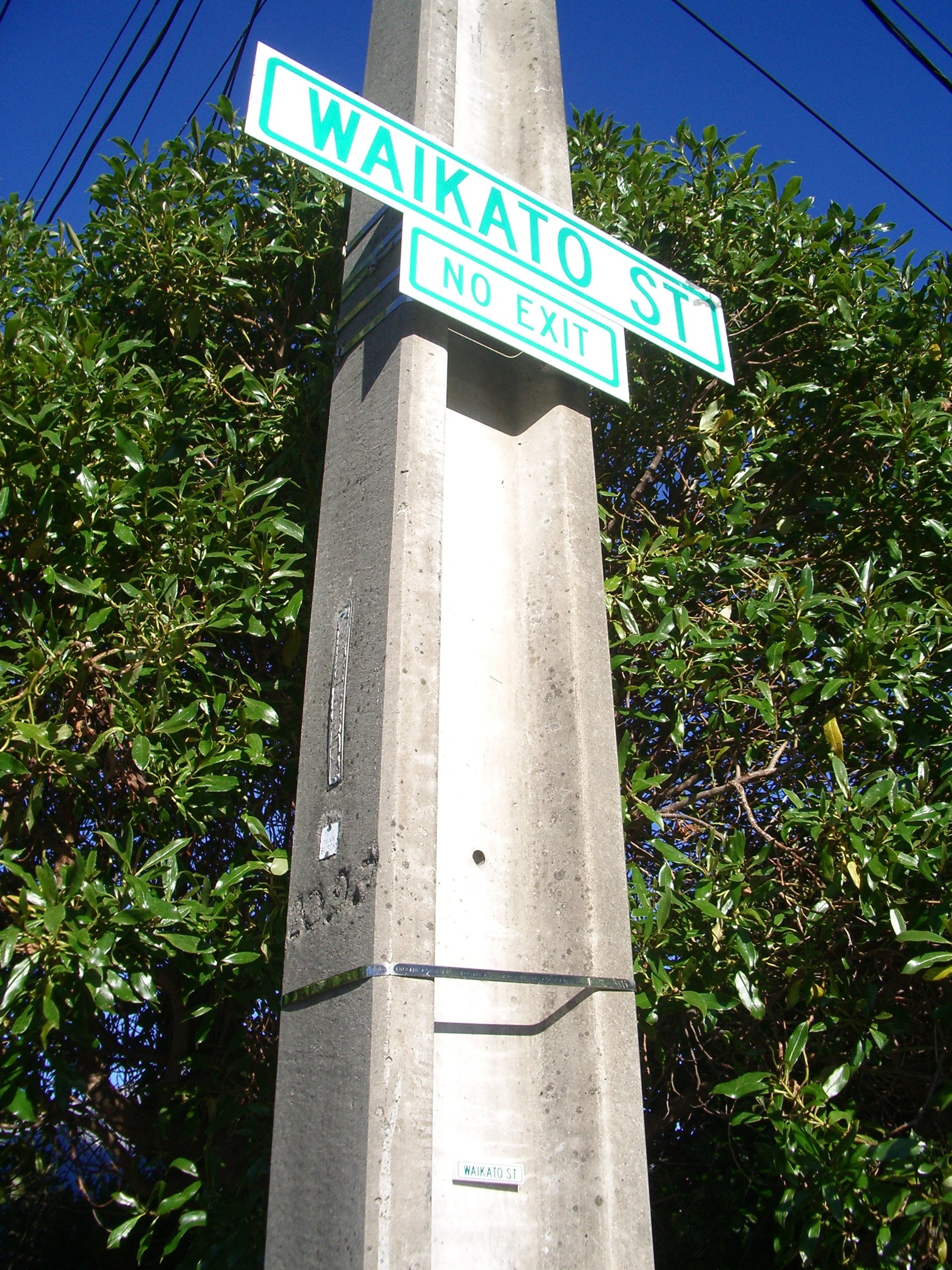 Waikato Street - TWC Collaboration 