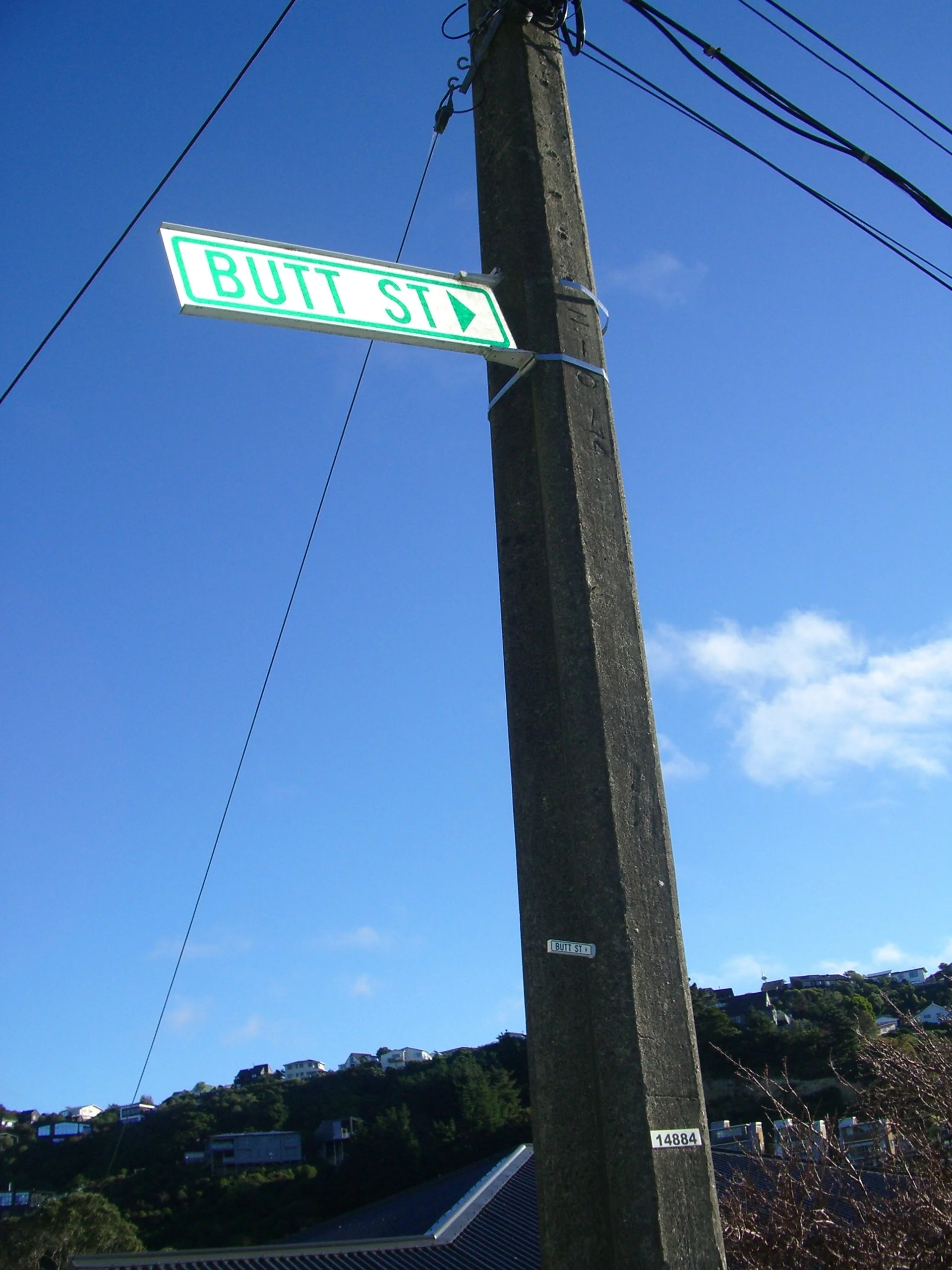 Street sign on a utility pole reading 'BUTT ST' and a small street sign below the pole with the number 14884. Clear blue sky and residential houses on a hillside in the background.