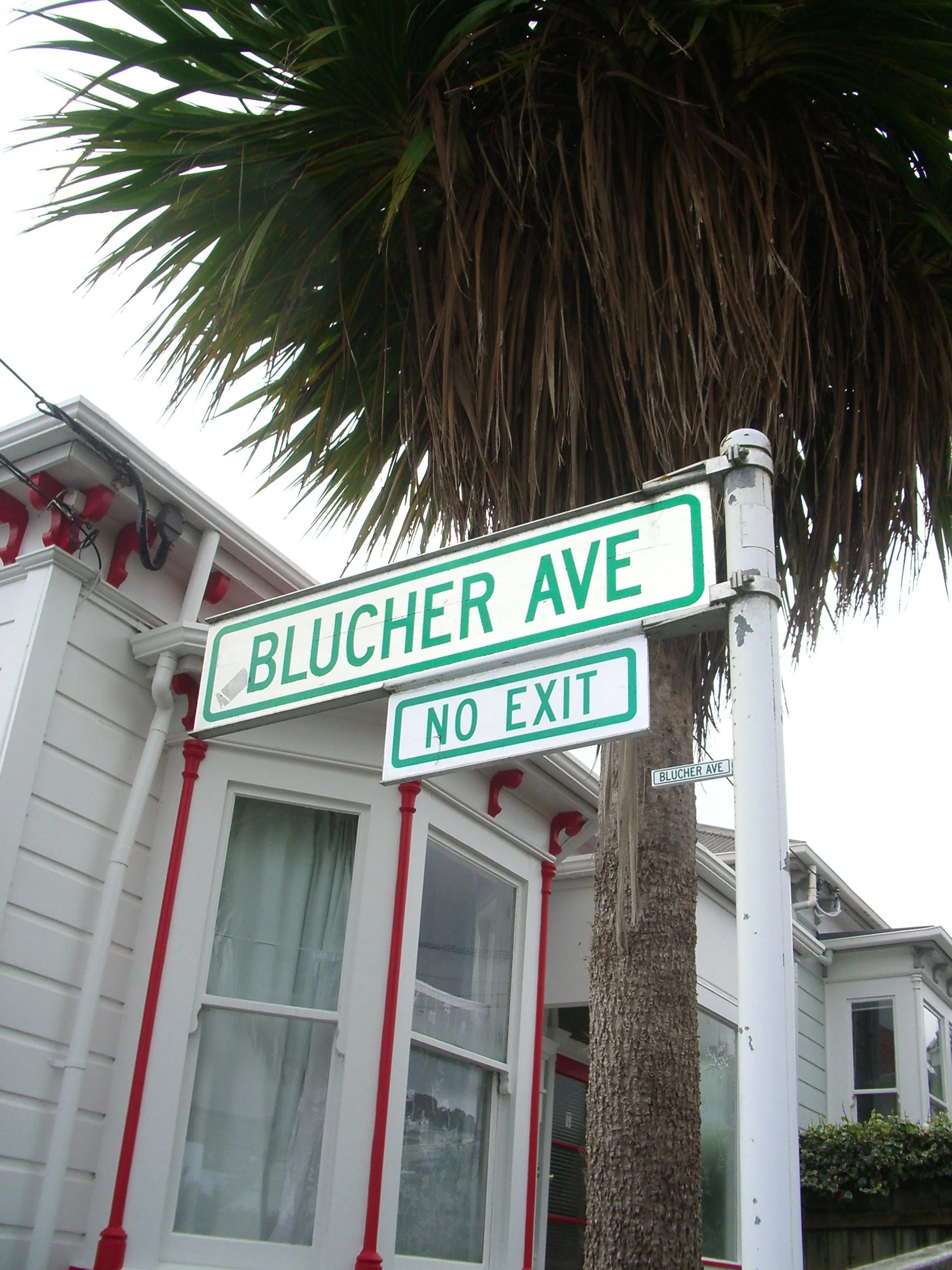 Blucher Ave