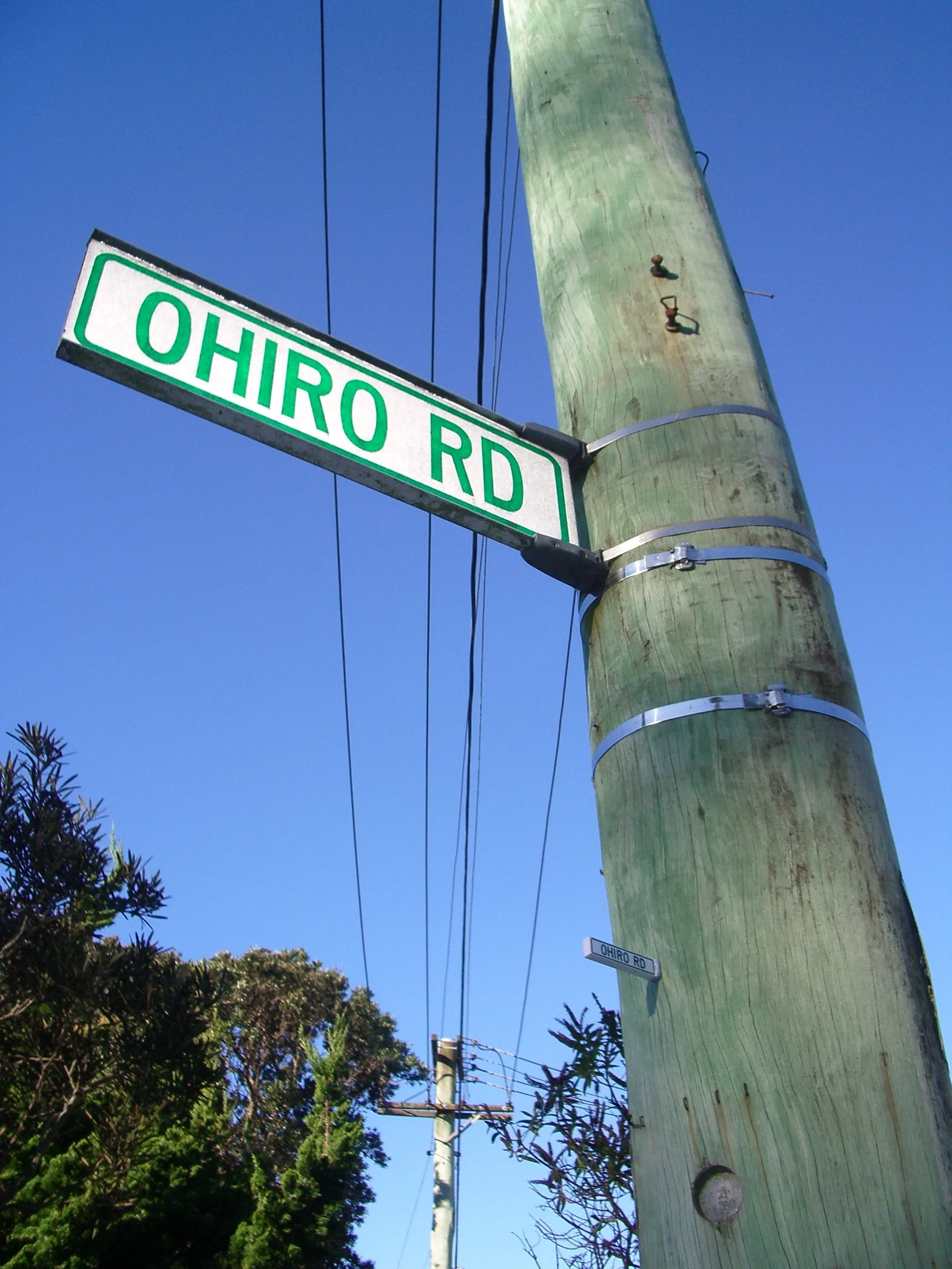 Street sign reading 'Ohiro Rd' attached to a green utility pole with blue sky and greenery in the background.