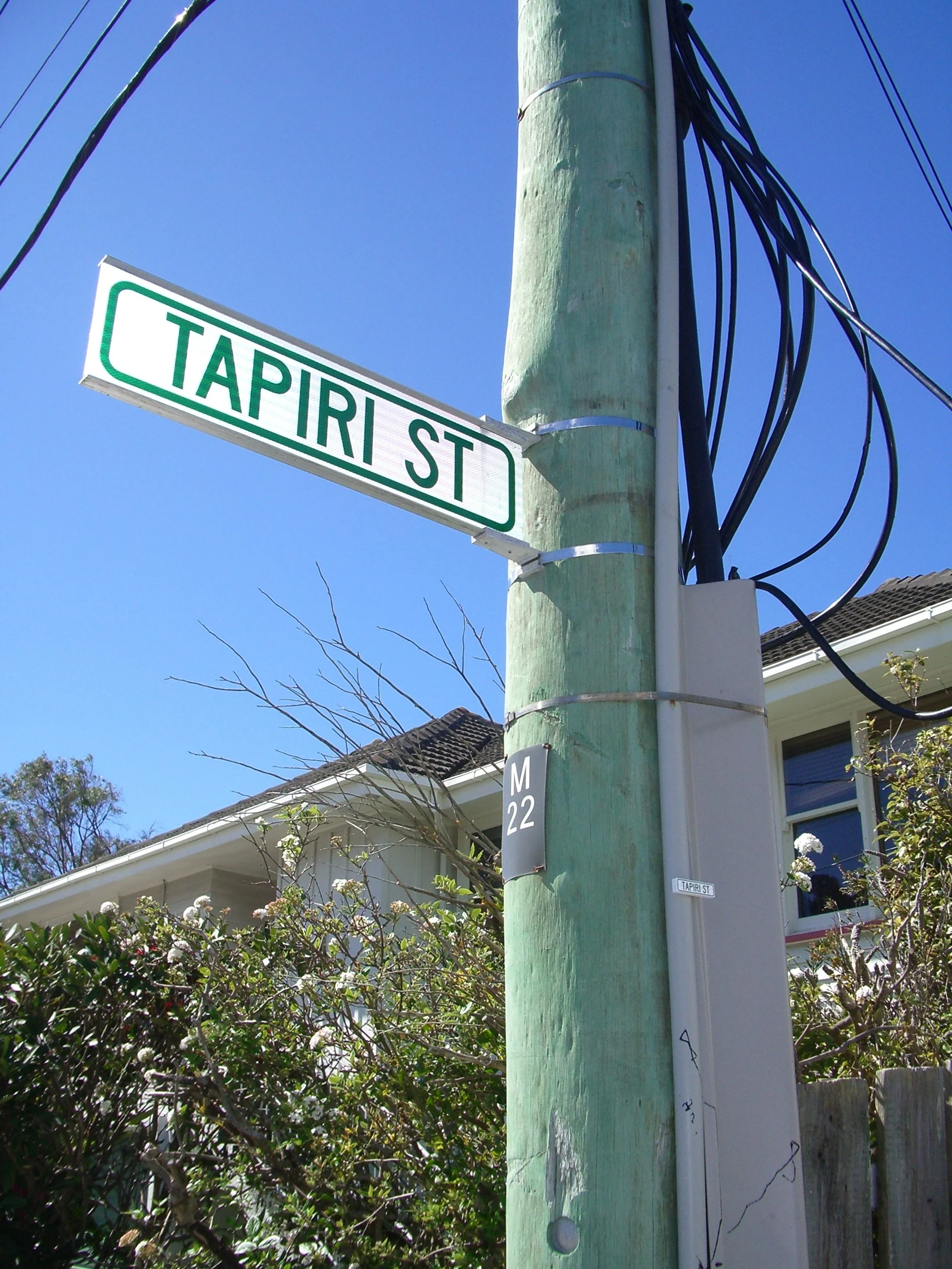 Tapiri St