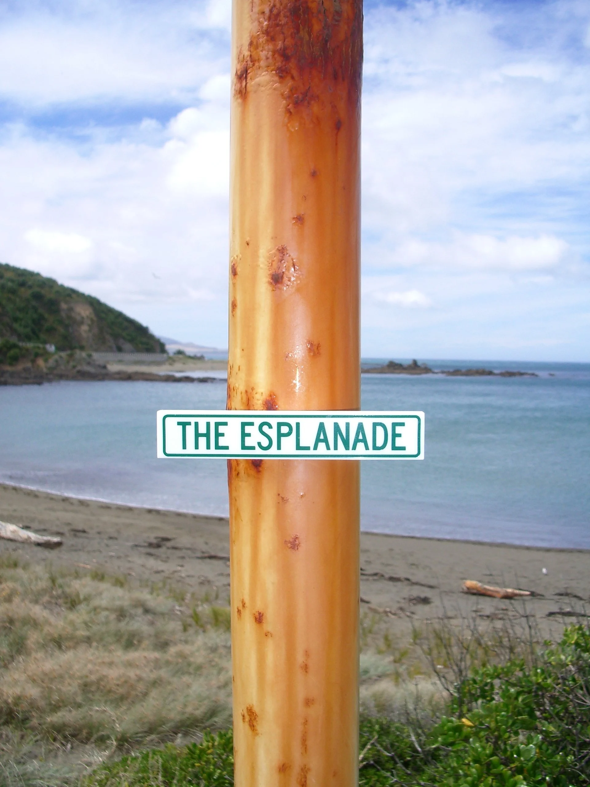 The Esplanade 