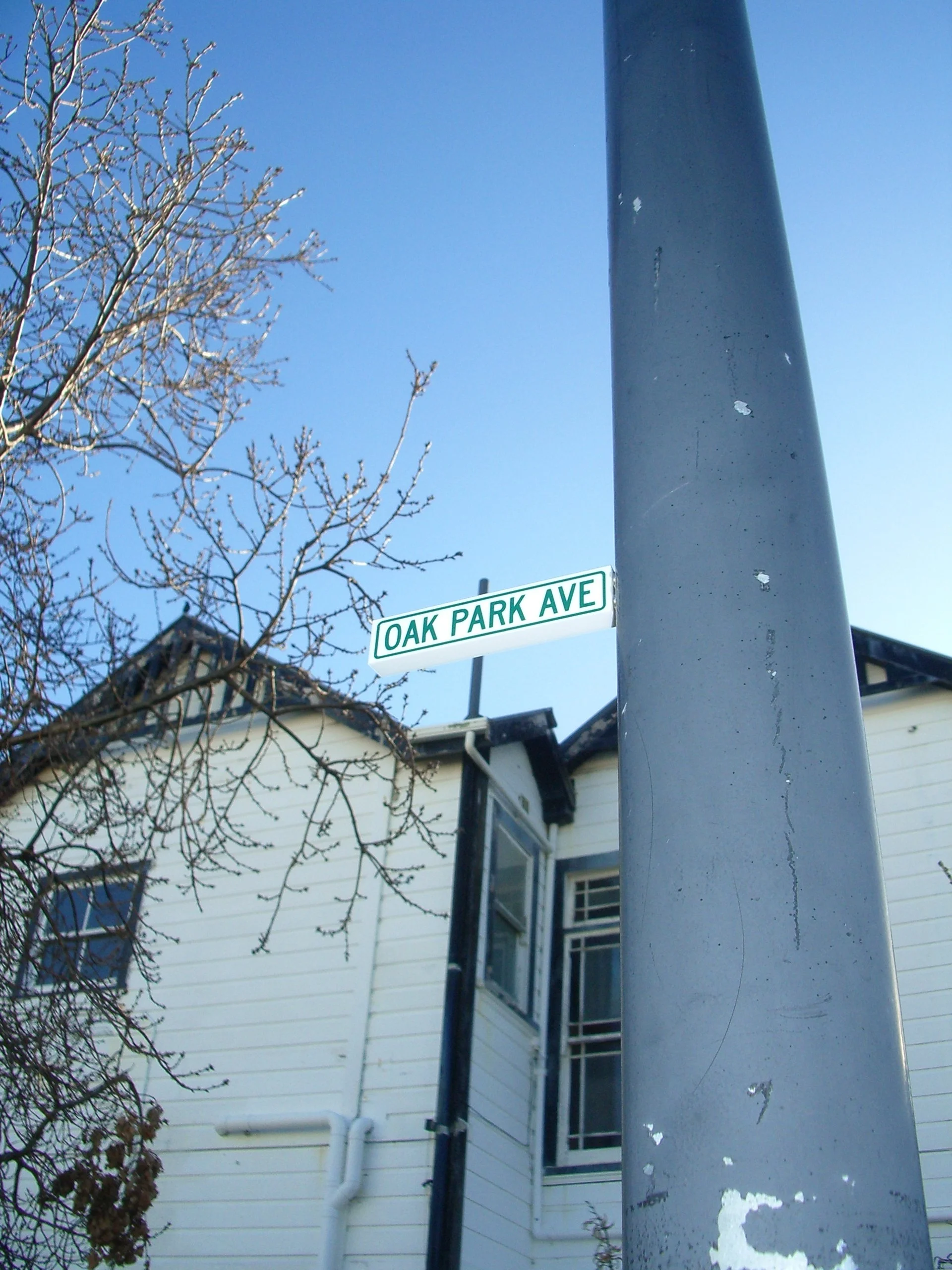 Oak Park Avenue