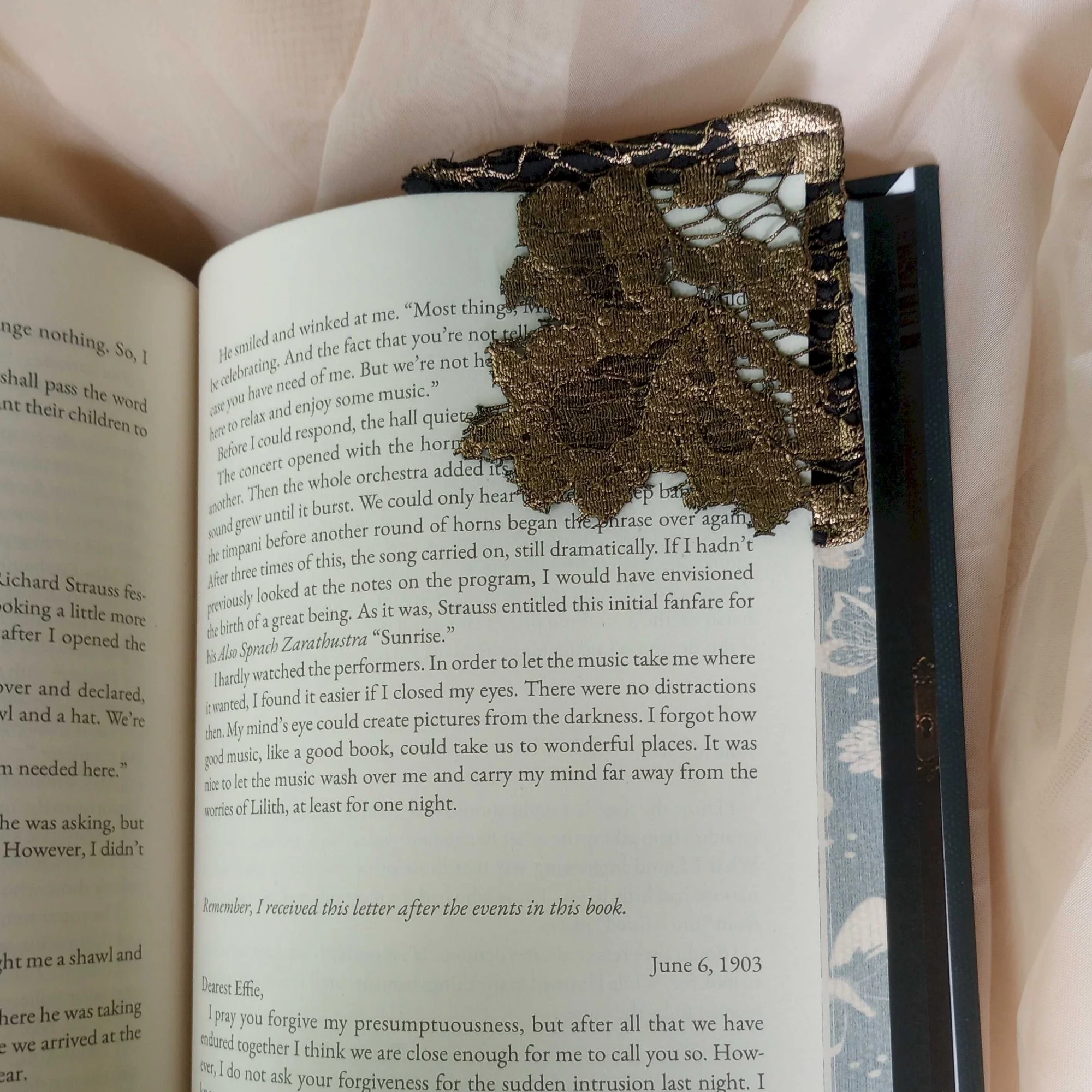 BookBrushImage-2026-8-15-14-1233.jpg