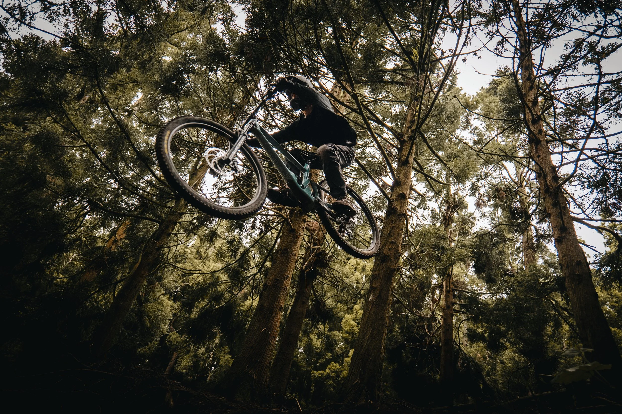 P1255789_VSCO.JPG