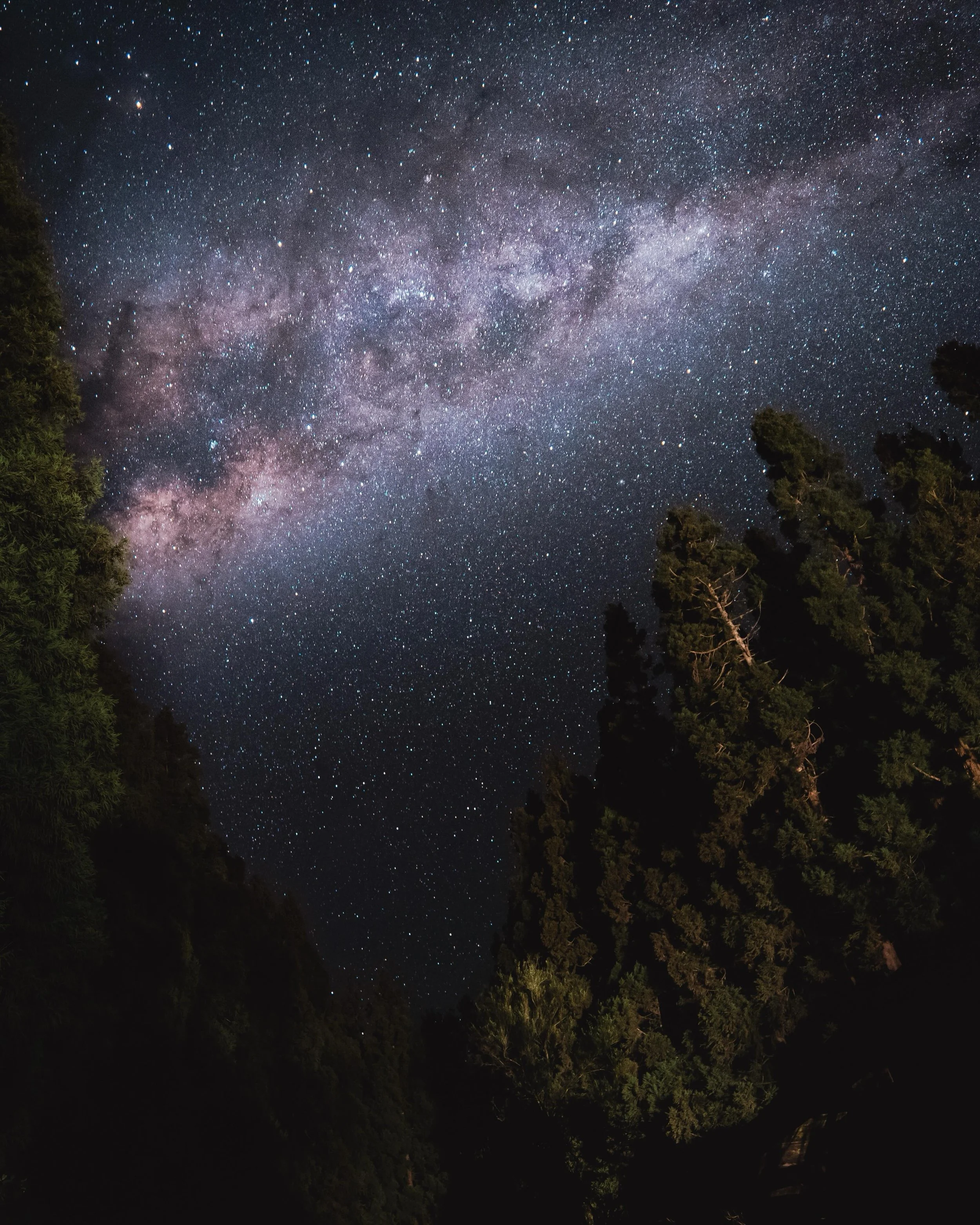 A place beyond words 🌲

#iledelar&eacute;union #milkyway_nightscapes #lar&eacute;union #pitondelafournaise #hiking