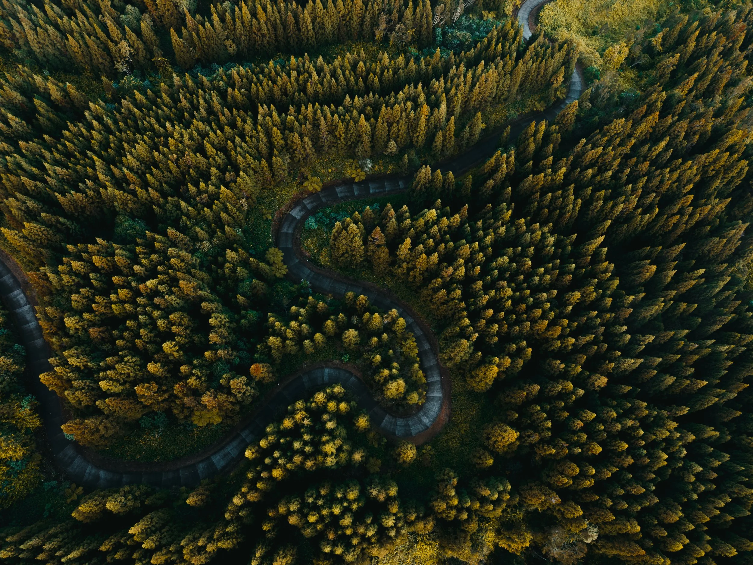 DJI_20260518171604_0019_D.jpg