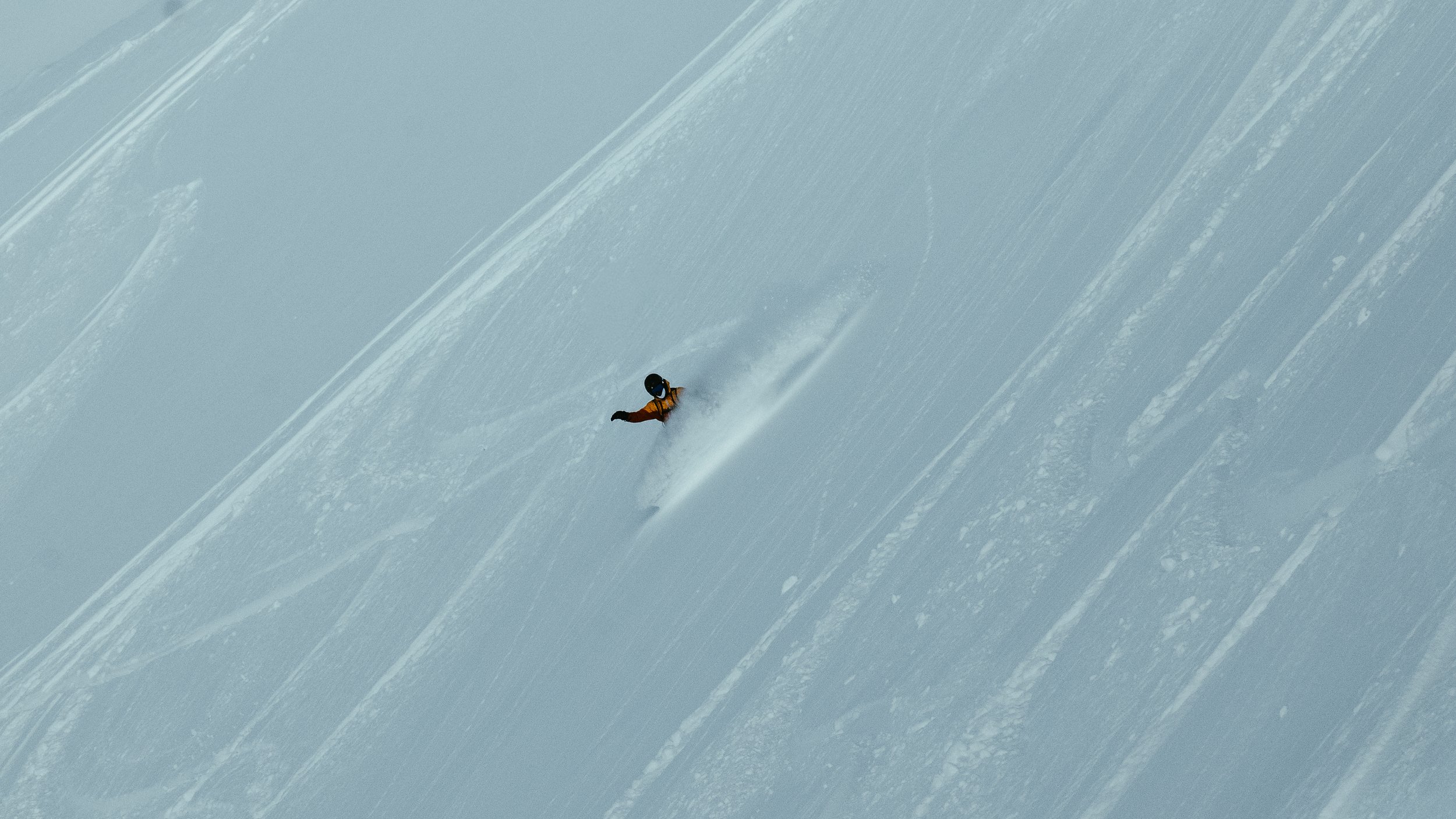 P1097366.jpg