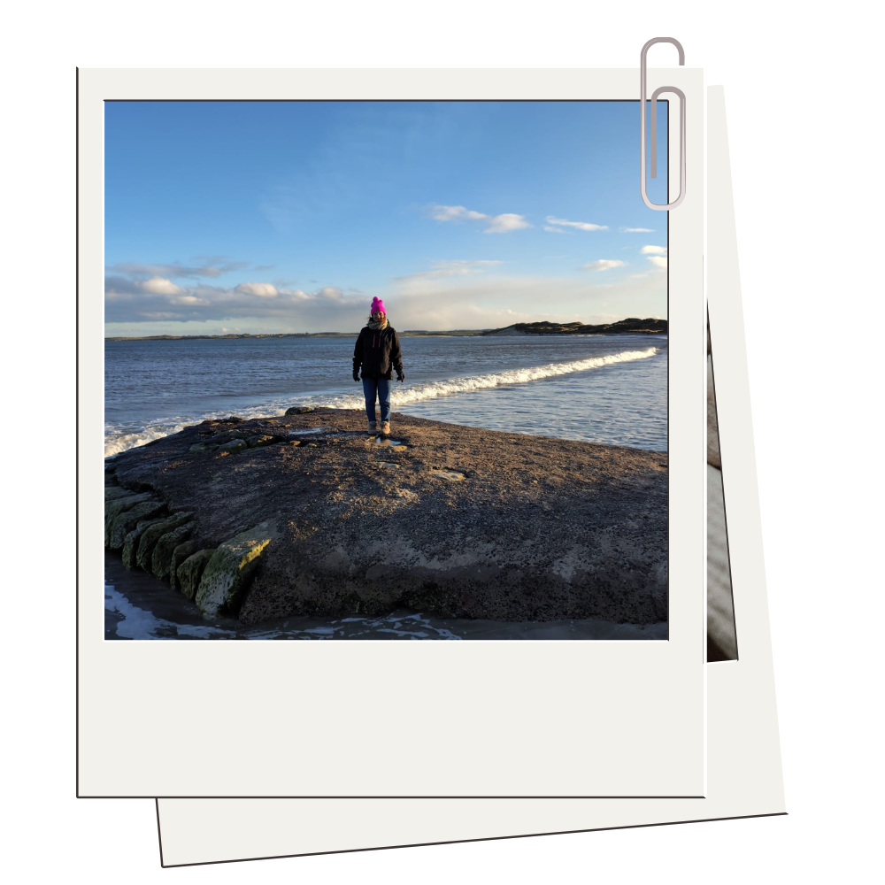A person wearing a pink hat and black jacket standing on a rocky shoreline looking at the ocean, with a blue sky and some clouds above.