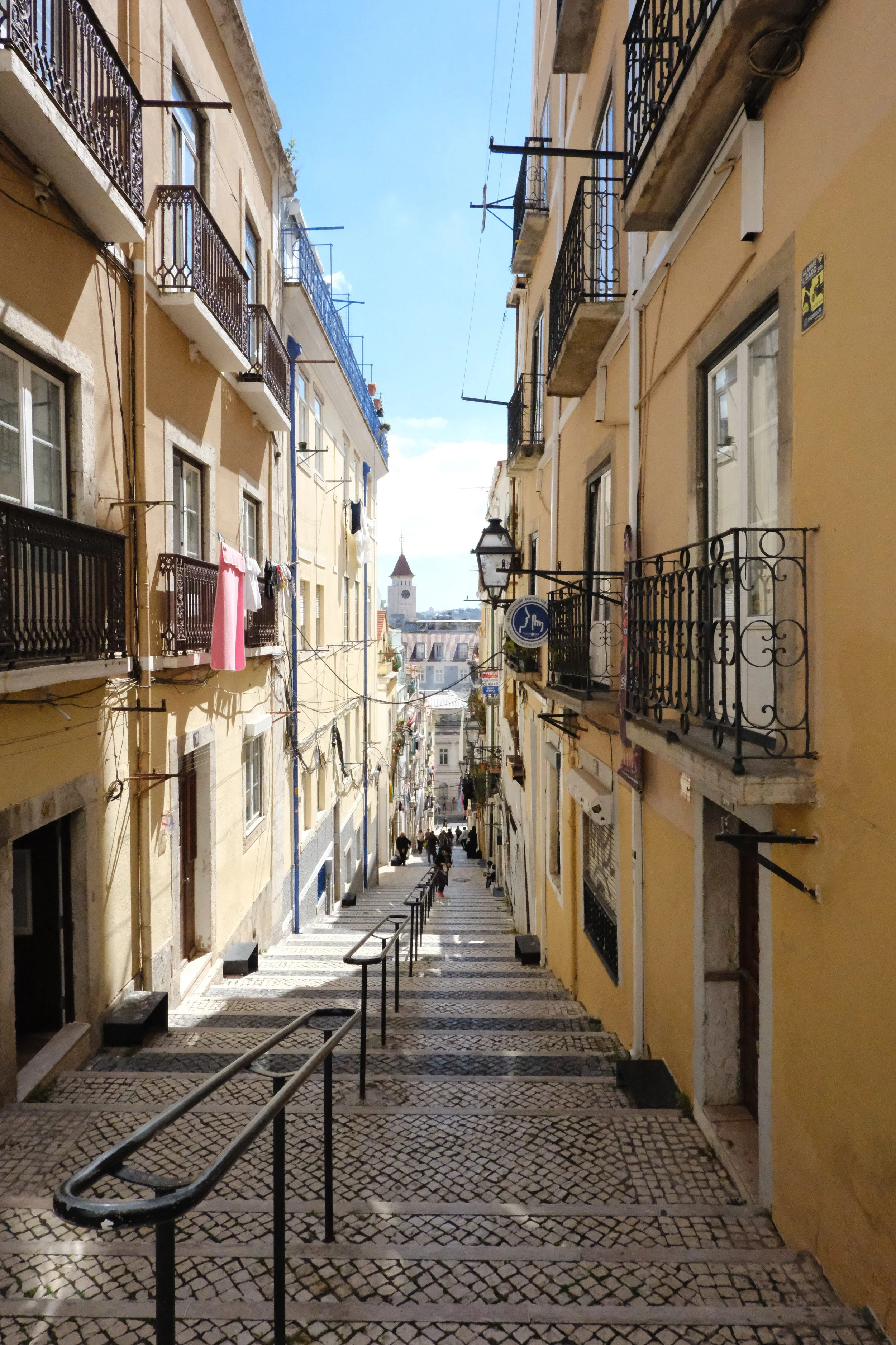 DSCF0248.jpg