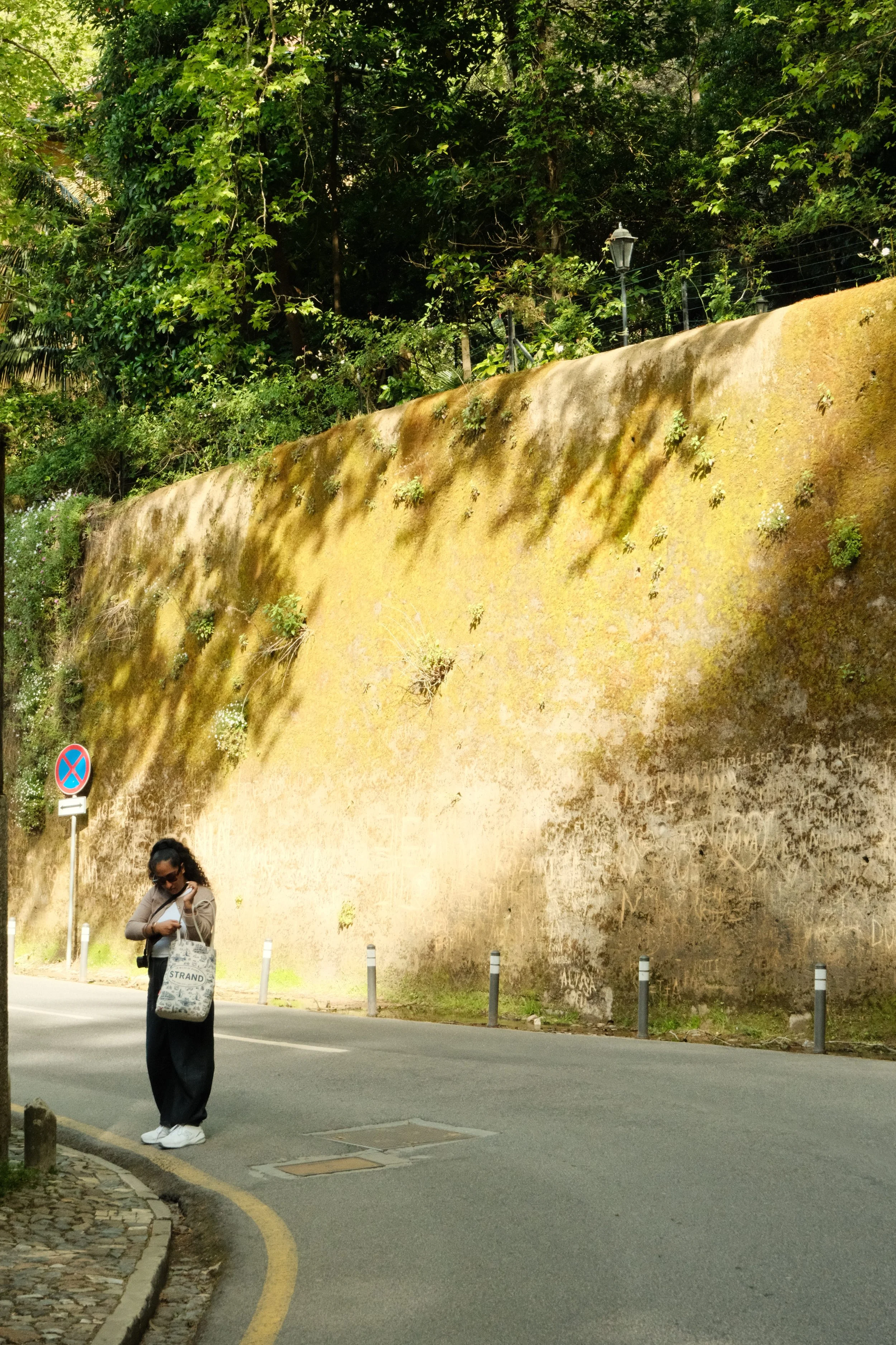 DSCF0430.jpg
