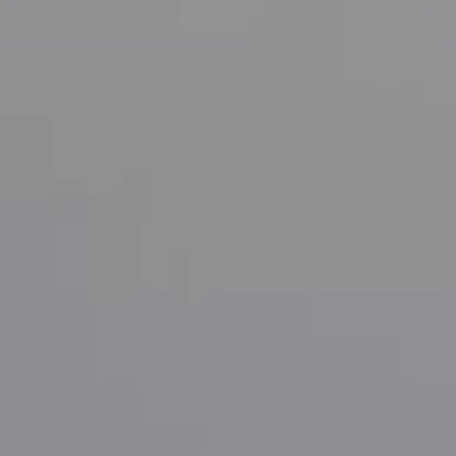 Gris.JPG