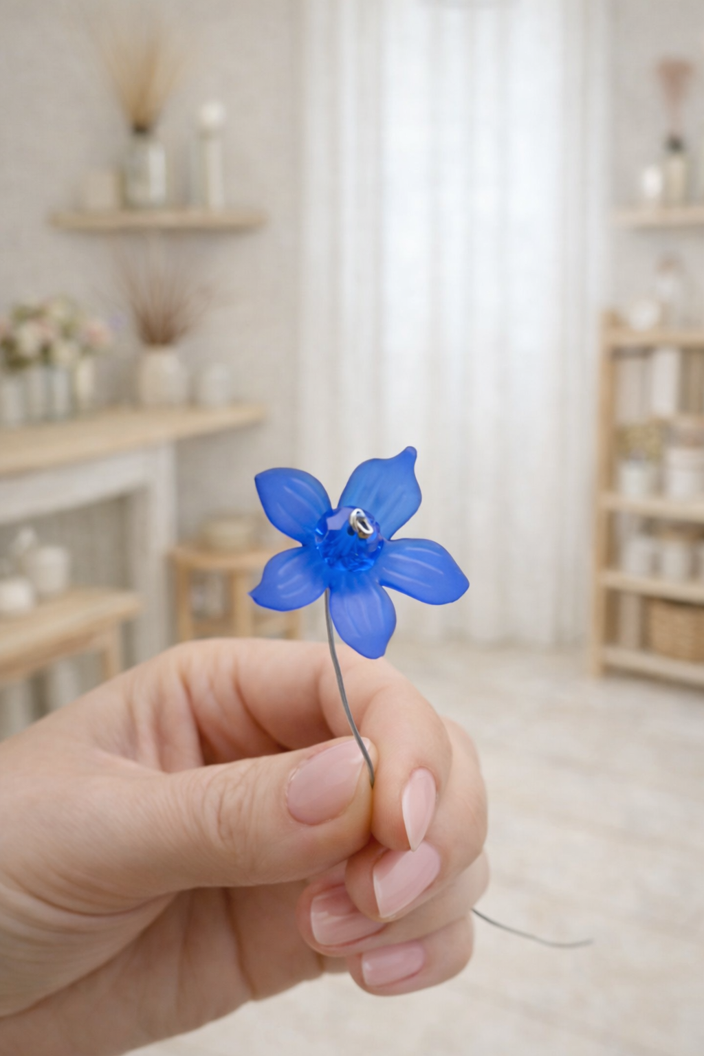 myosotis1.png