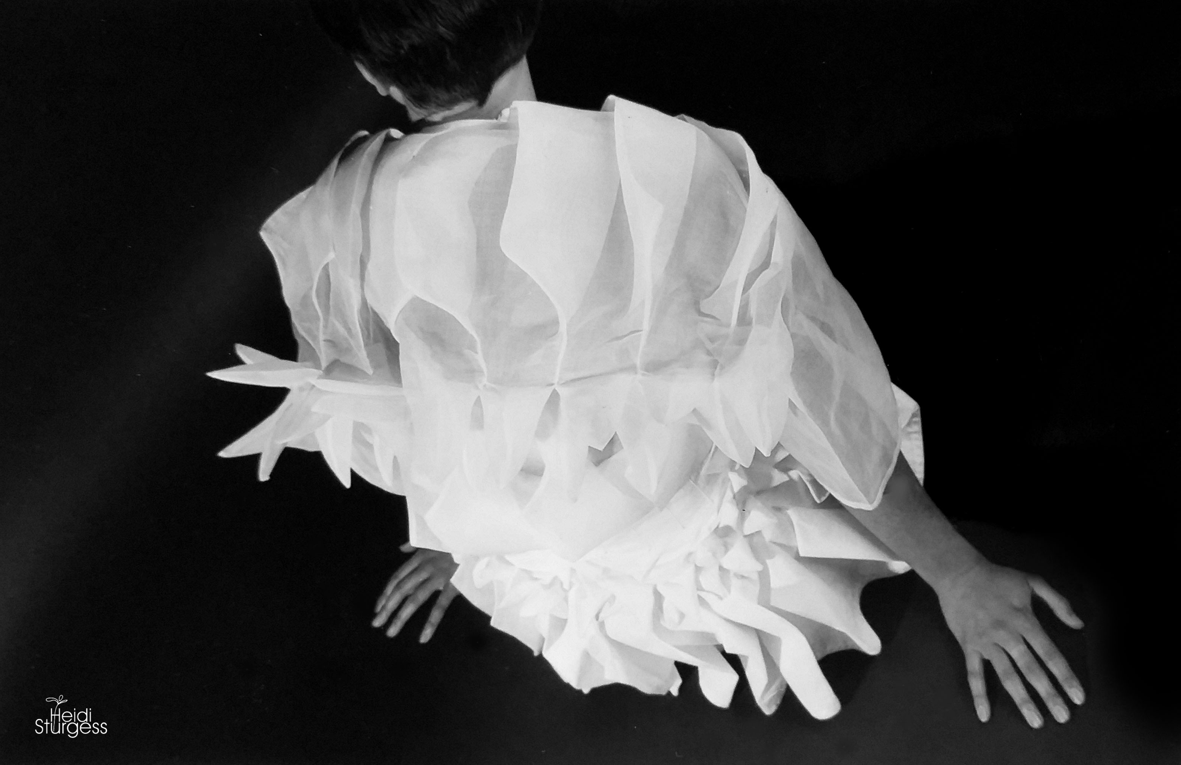 A person dressed in a paper flower costume, facing away from the camera, against a dark background.