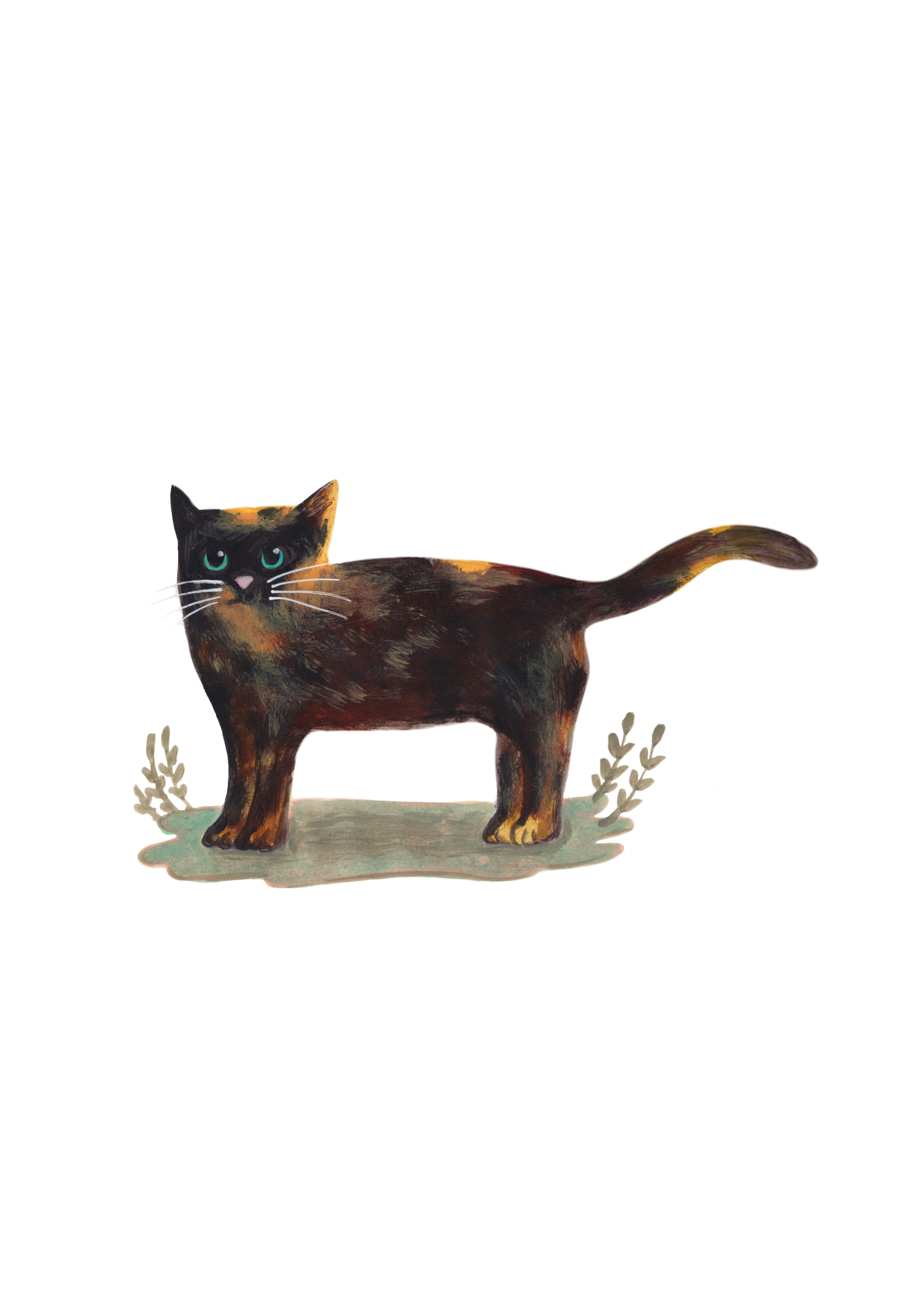 Tortoiseshell Cat Art Print