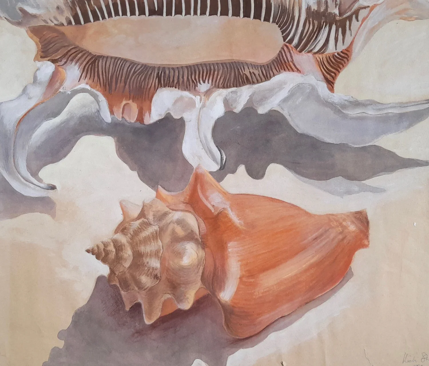 A painting of various seashells, including a conch shell, a spiral shell, and a sand dollar, with their shadows cast on a light background.