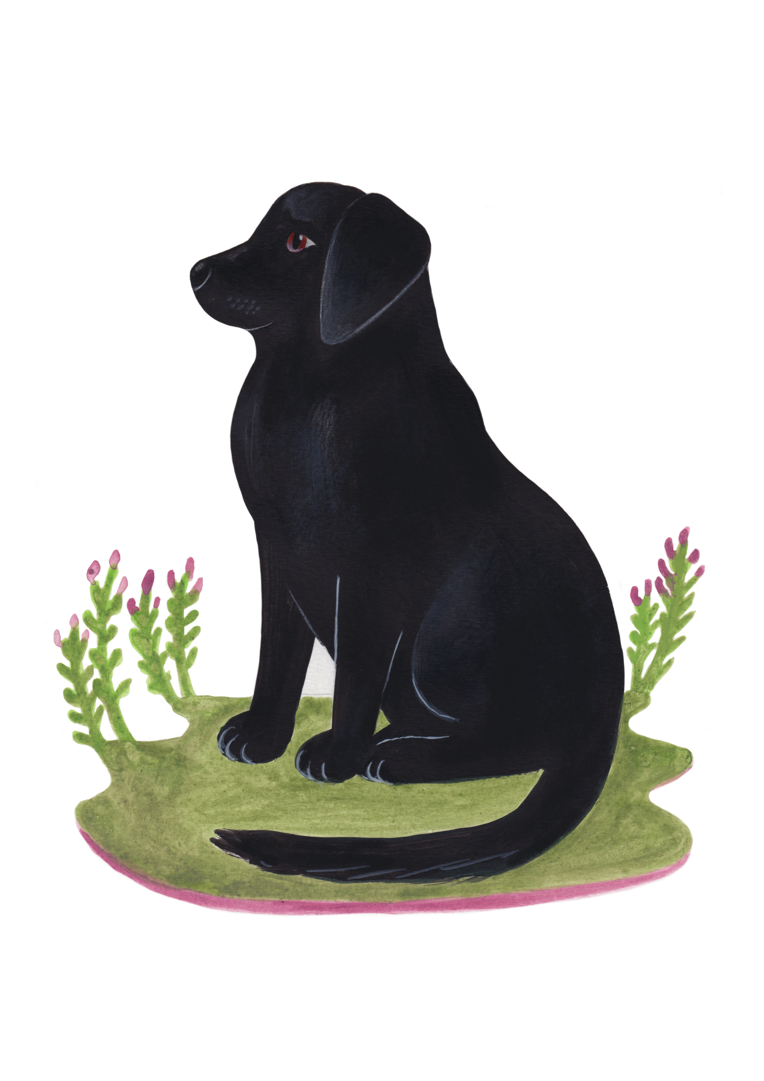 Black Labrador Art Print